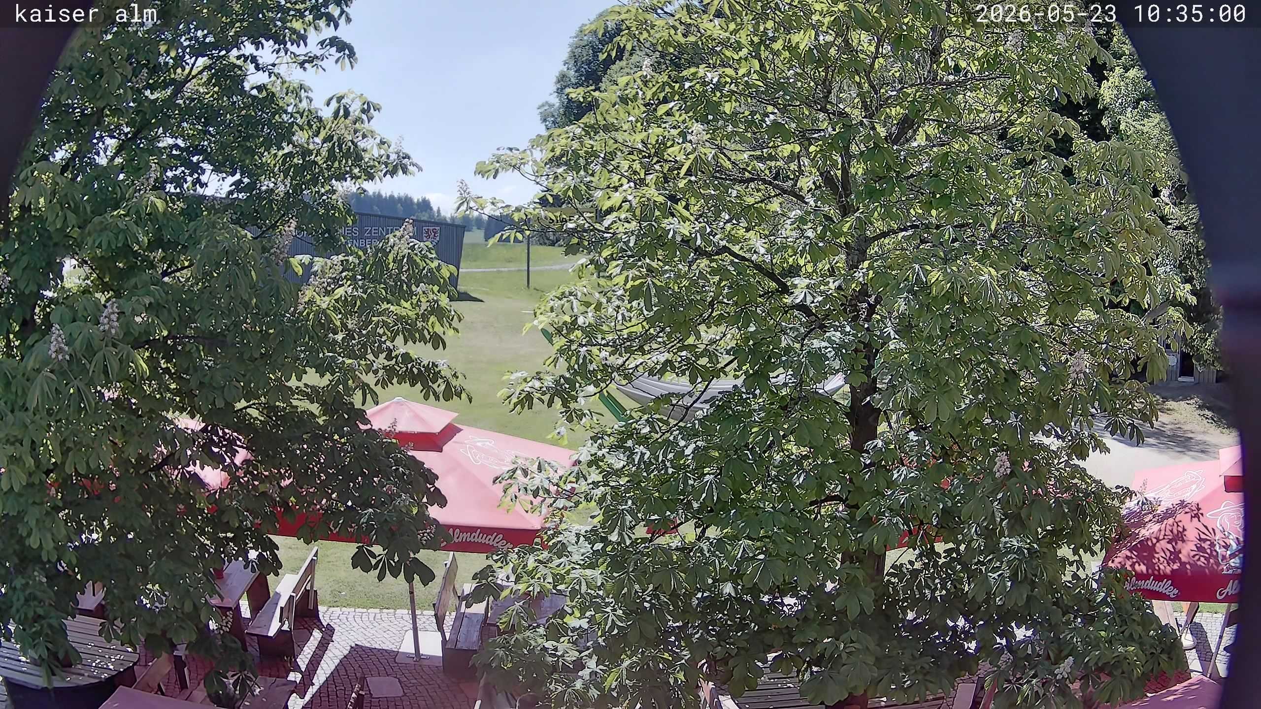Archiv Foto Webcam Kaiseralm Breitenberg