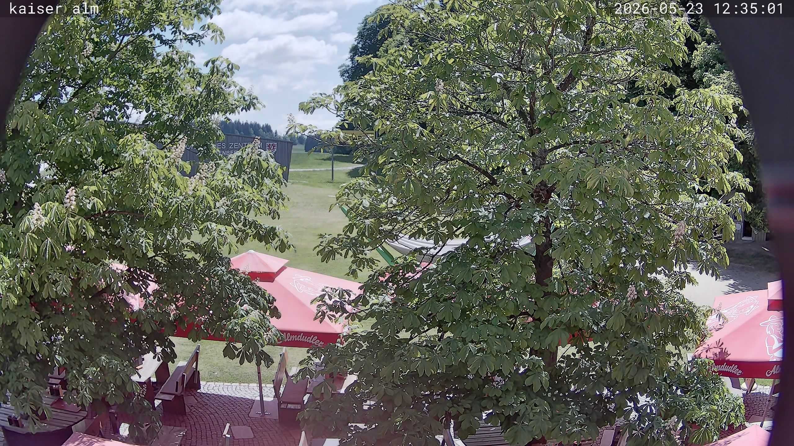 Archiv Foto Webcam Kaiseralm Breitenberg