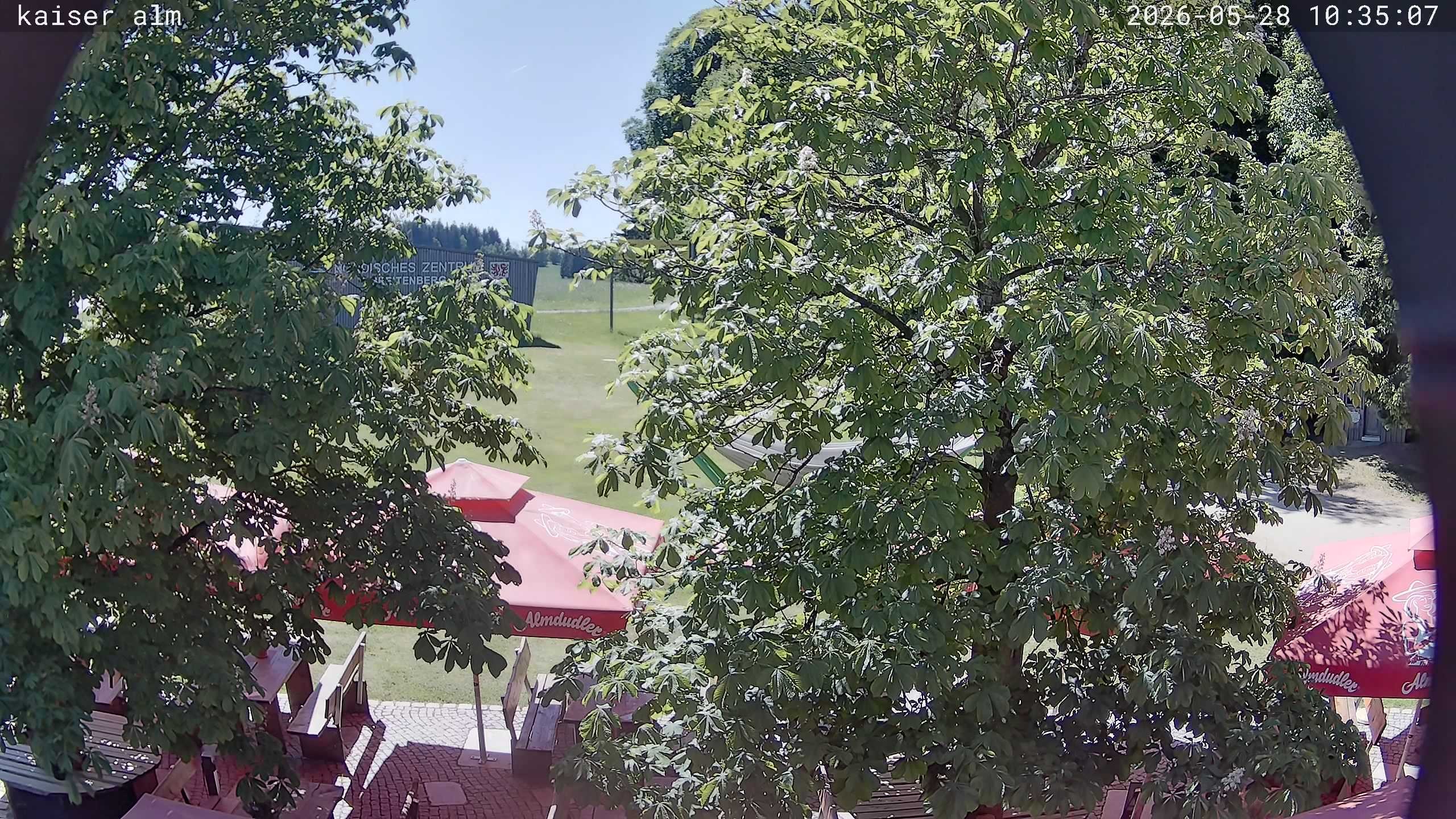 Archived image Breitenberg - Webcam at Kaiseralm