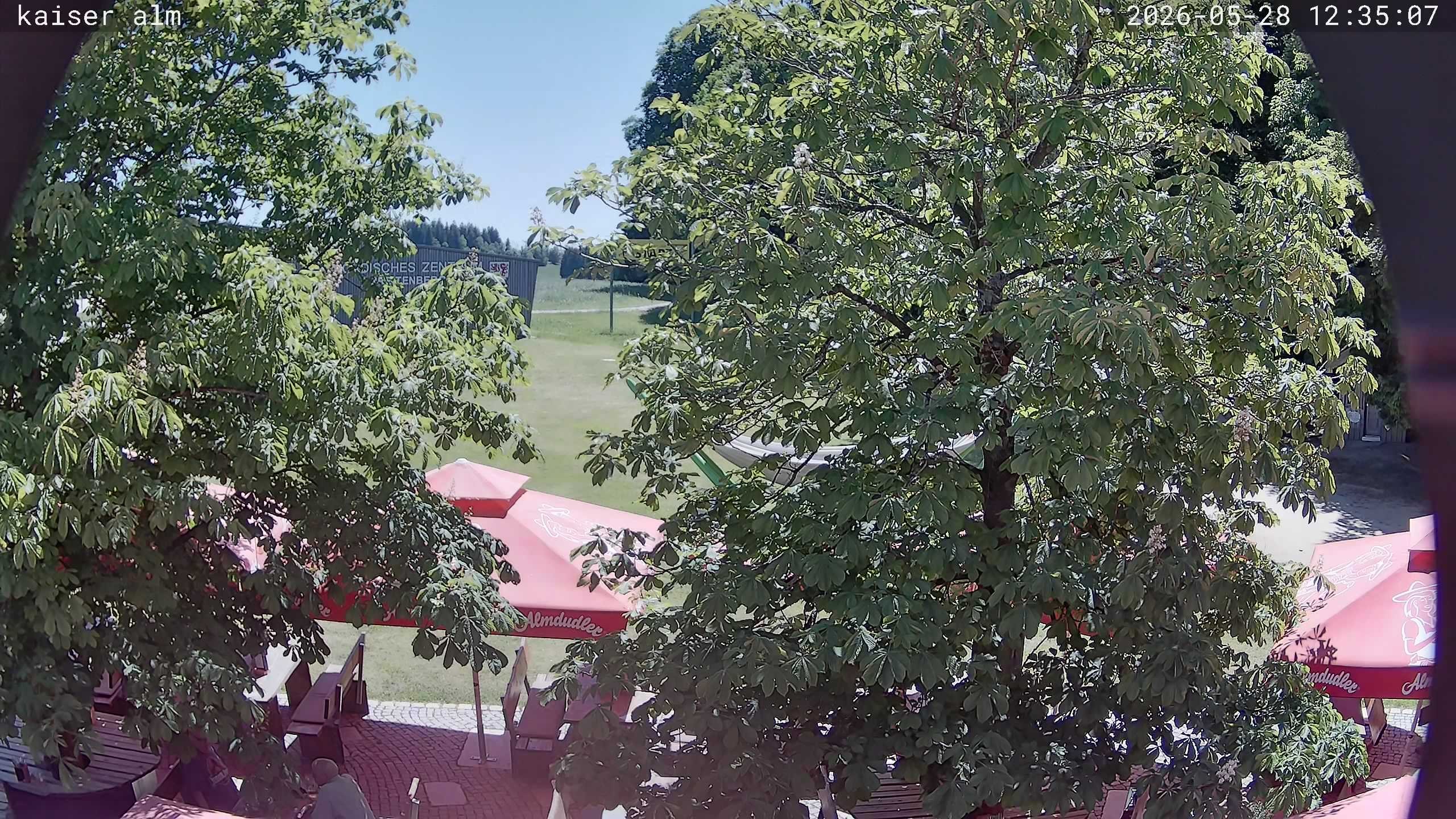 Archived image Breitenberg - Webcam at Kaiseralm