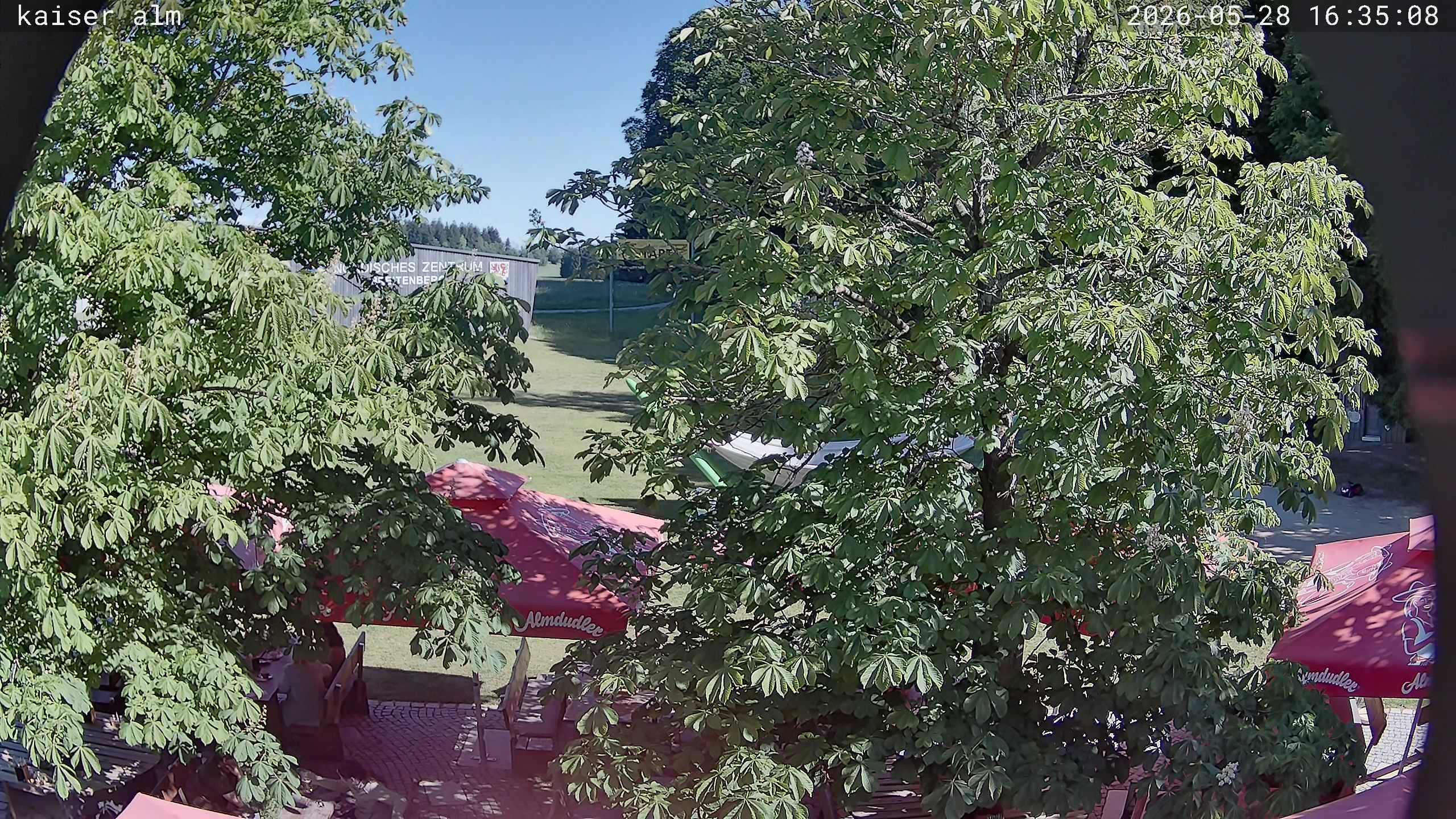 Archived image Breitenberg - Webcam at Kaiseralm