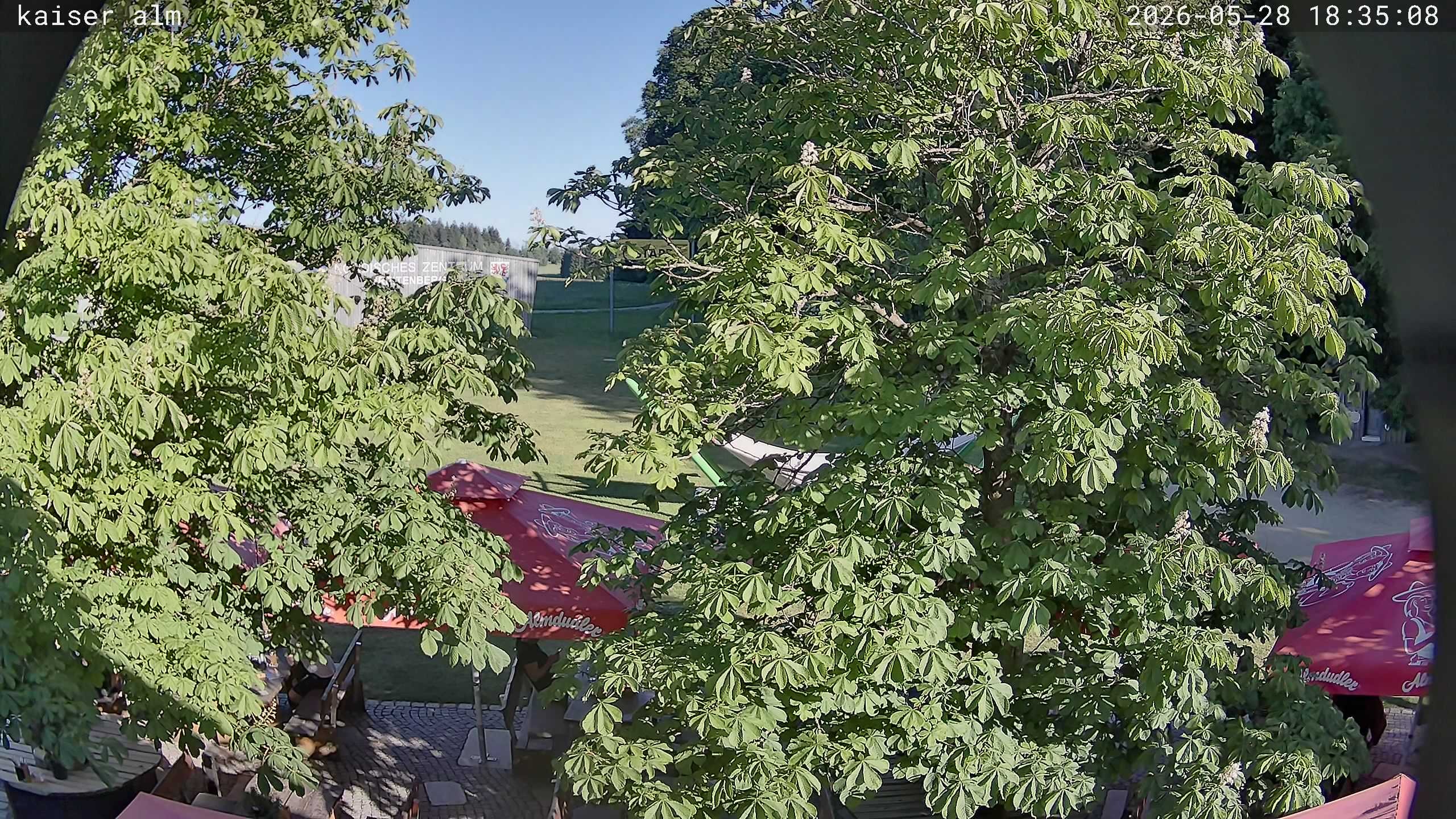 Archived image Breitenberg - Webcam at Kaiseralm