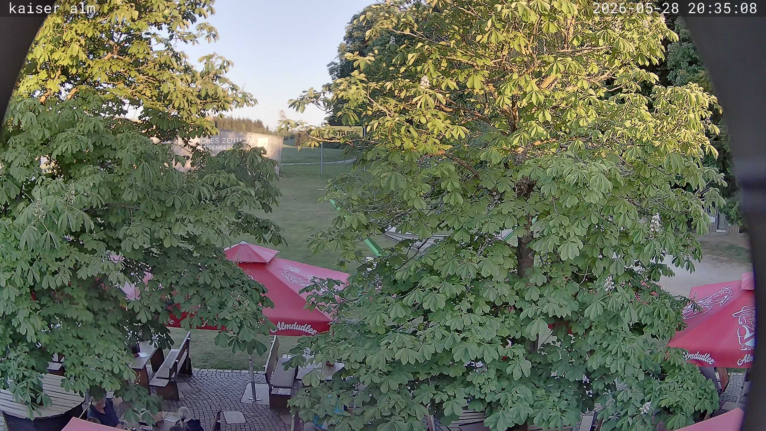 Archived image Breitenberg - Webcam at Kaiseralm