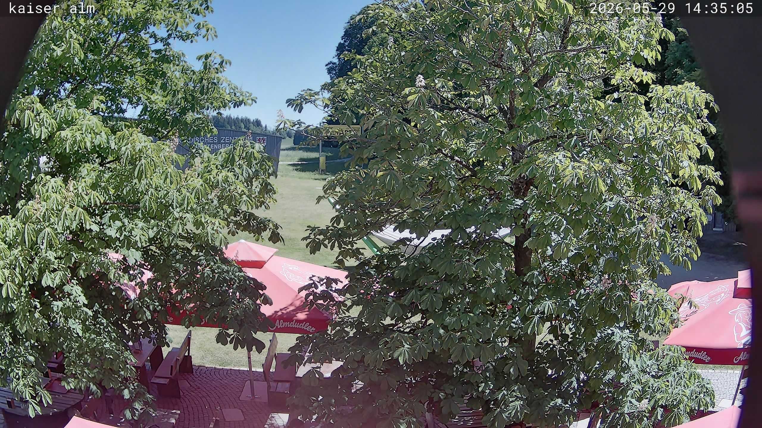 Archiv Foto Webcam Kaiseralm Breitenberg