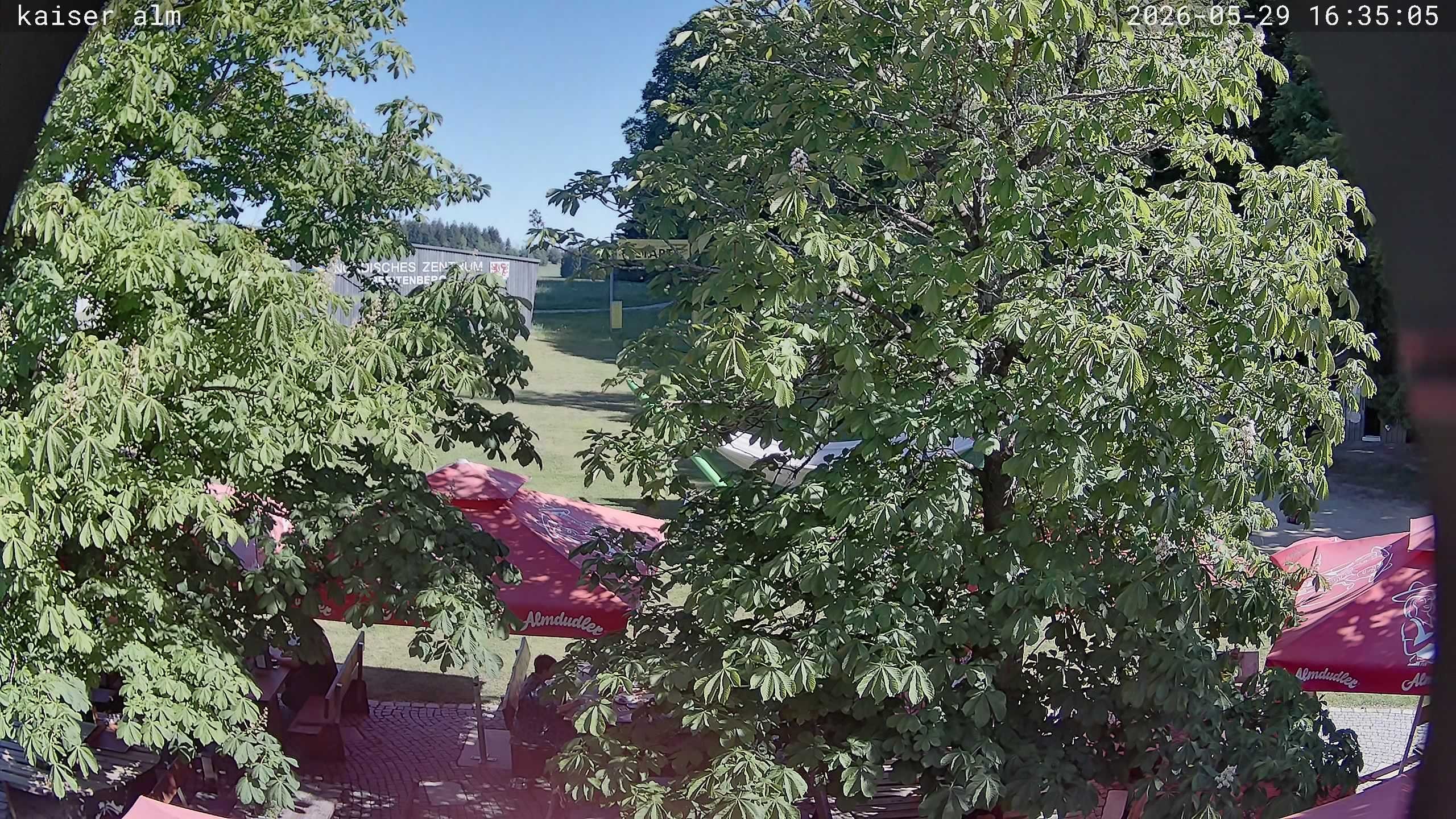 Archiv Foto Webcam Kaiseralm Breitenberg