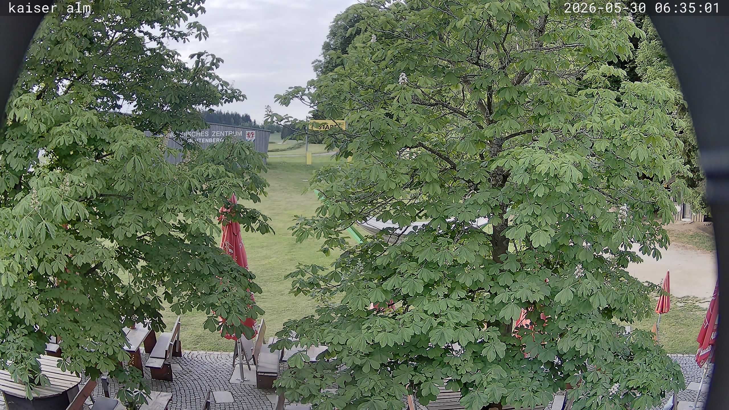 Archiv Foto Webcam Kaiseralm Breitenberg