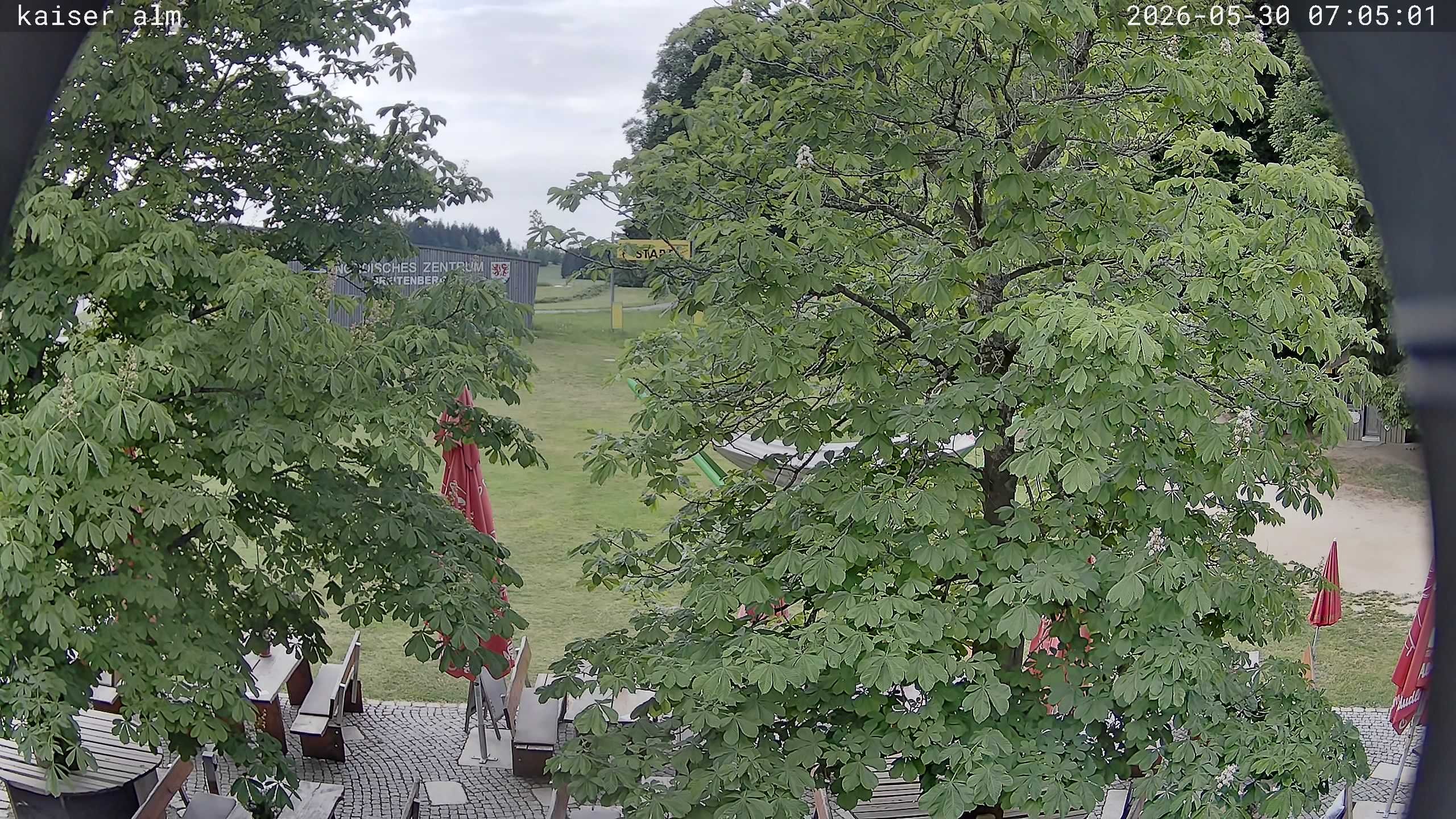 Archiv Foto Webcam Kaiseralm Breitenberg