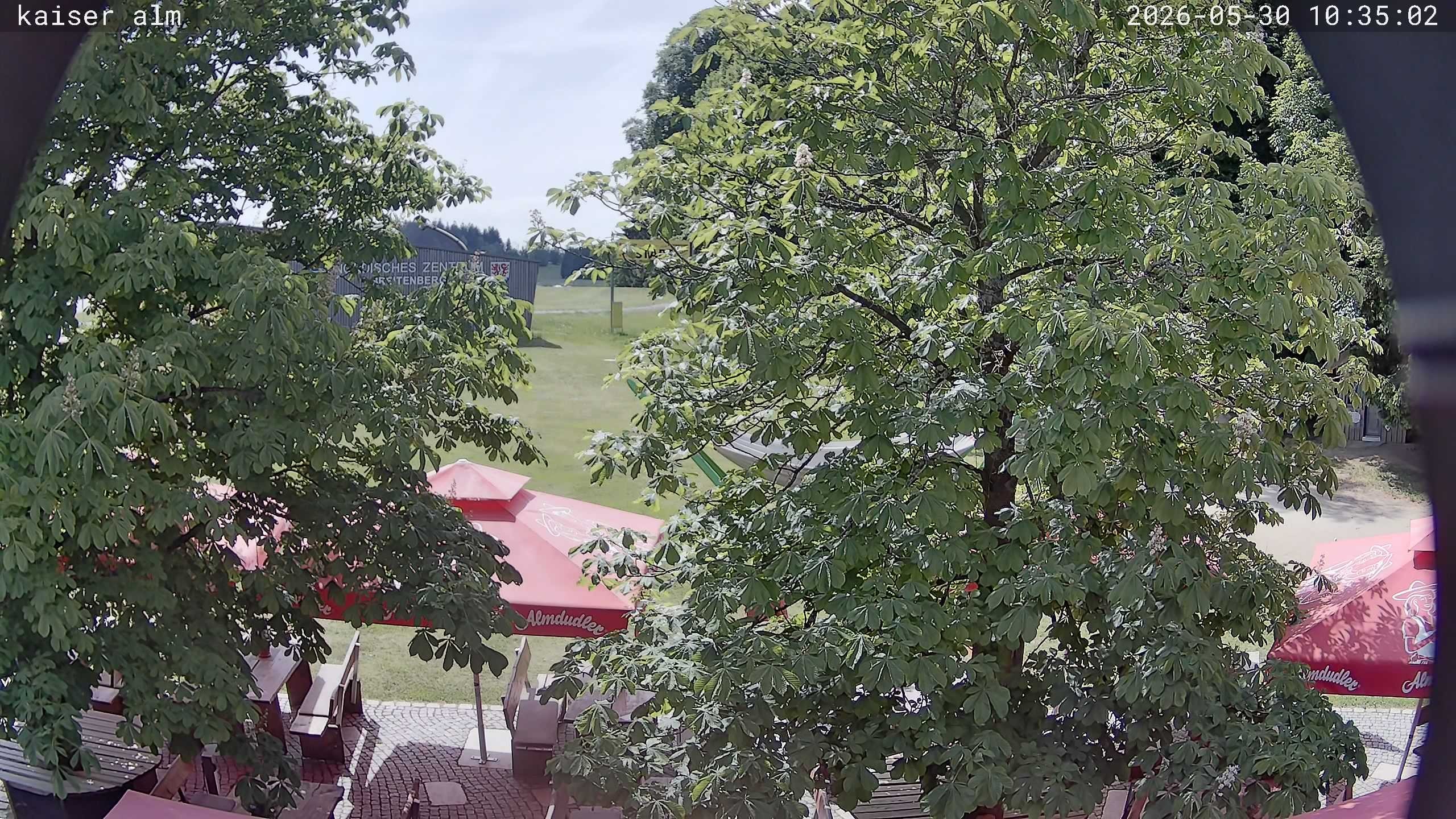 Archiv Foto Webcam Kaiseralm Breitenberg