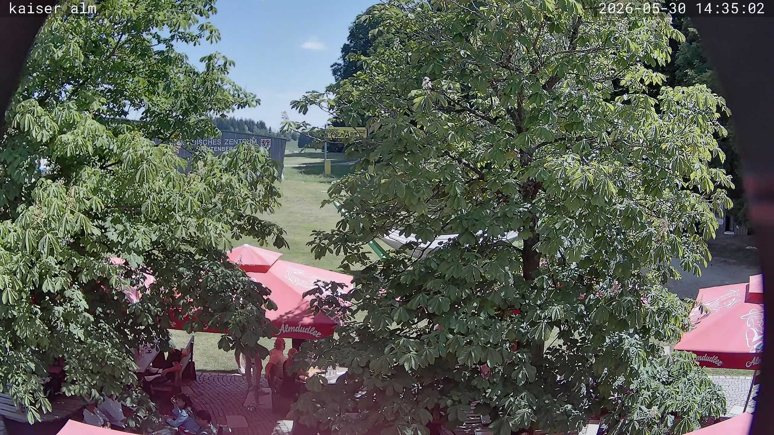Archiv Foto Webcam Kaiseralm Breitenberg