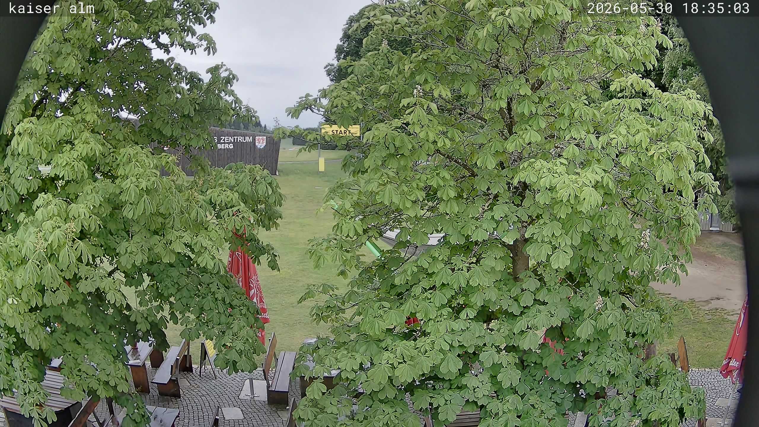 Archiv Foto Webcam Kaiseralm Breitenberg