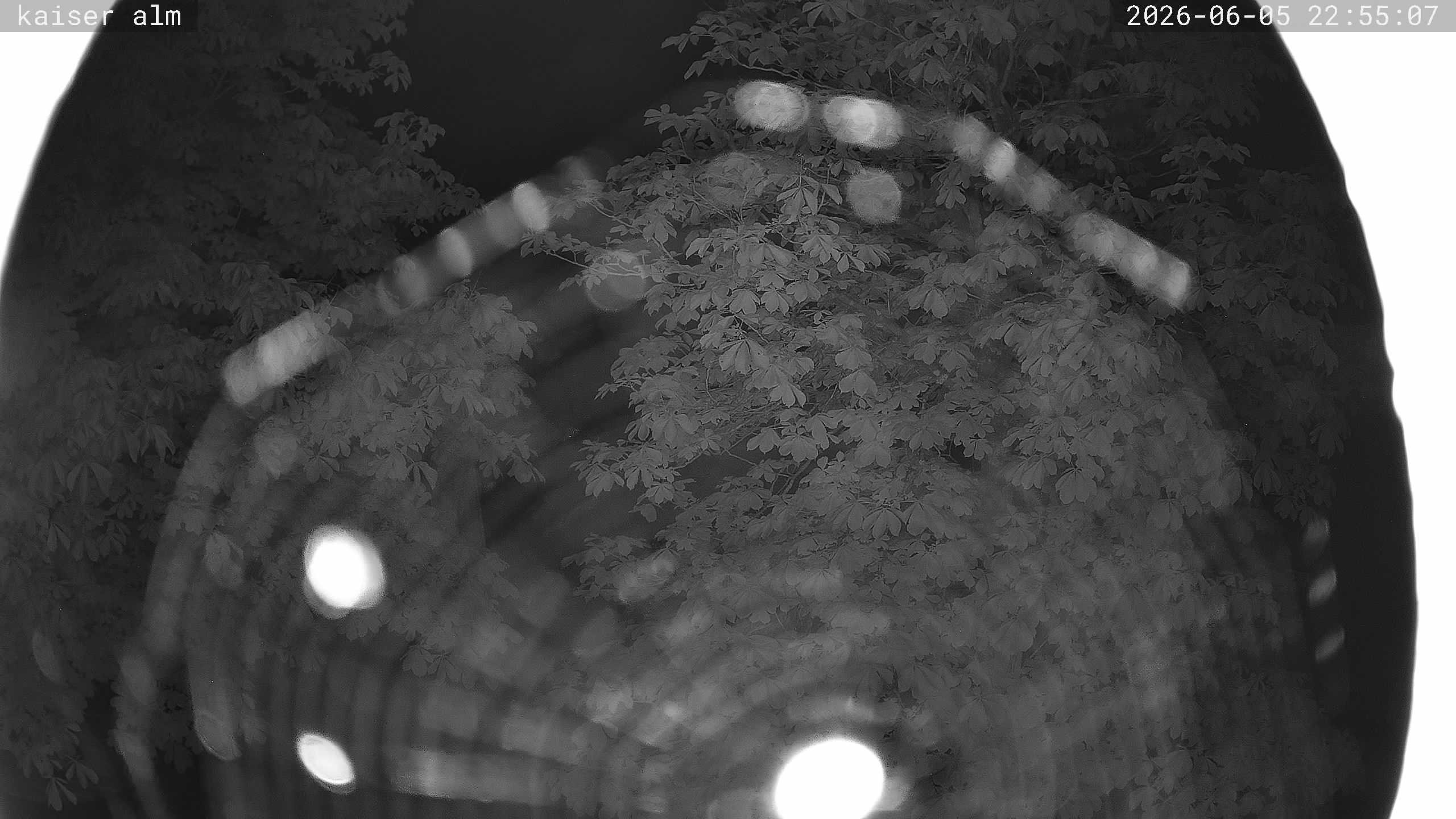 Archiv Foto Webcam Kaiseralm Breitenberg