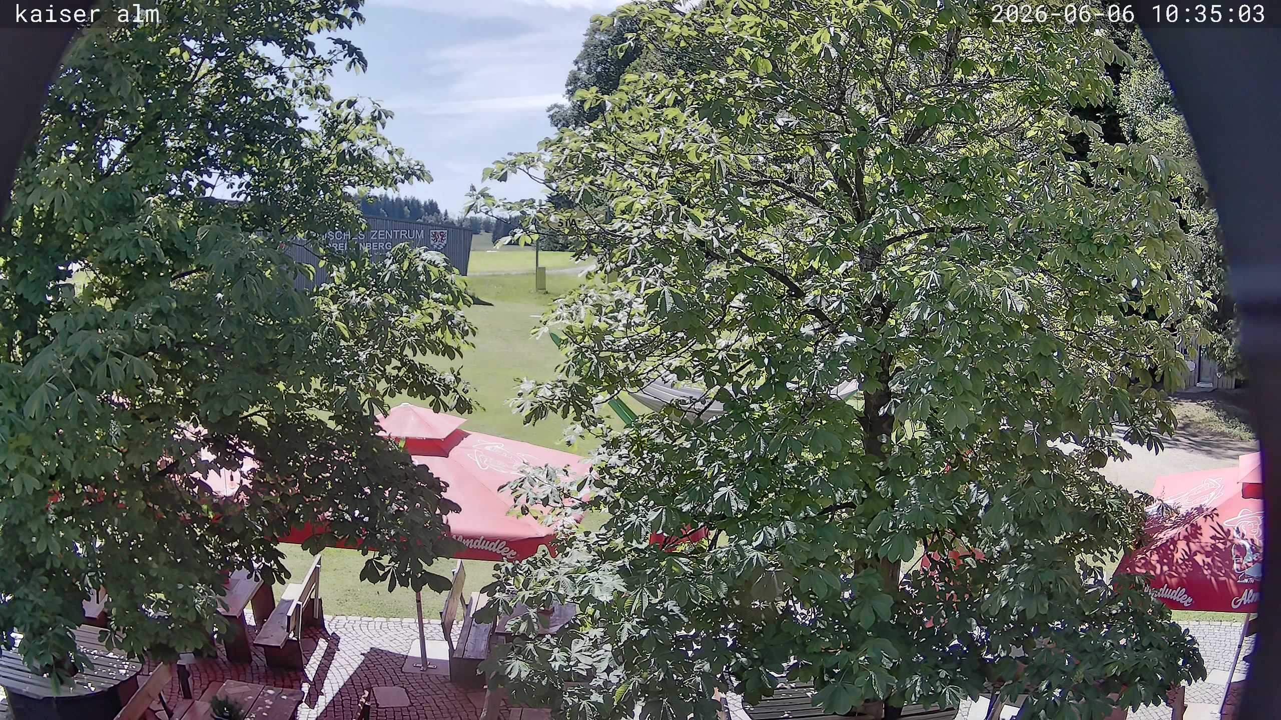Archiv Foto Webcam Kaiseralm Breitenberg