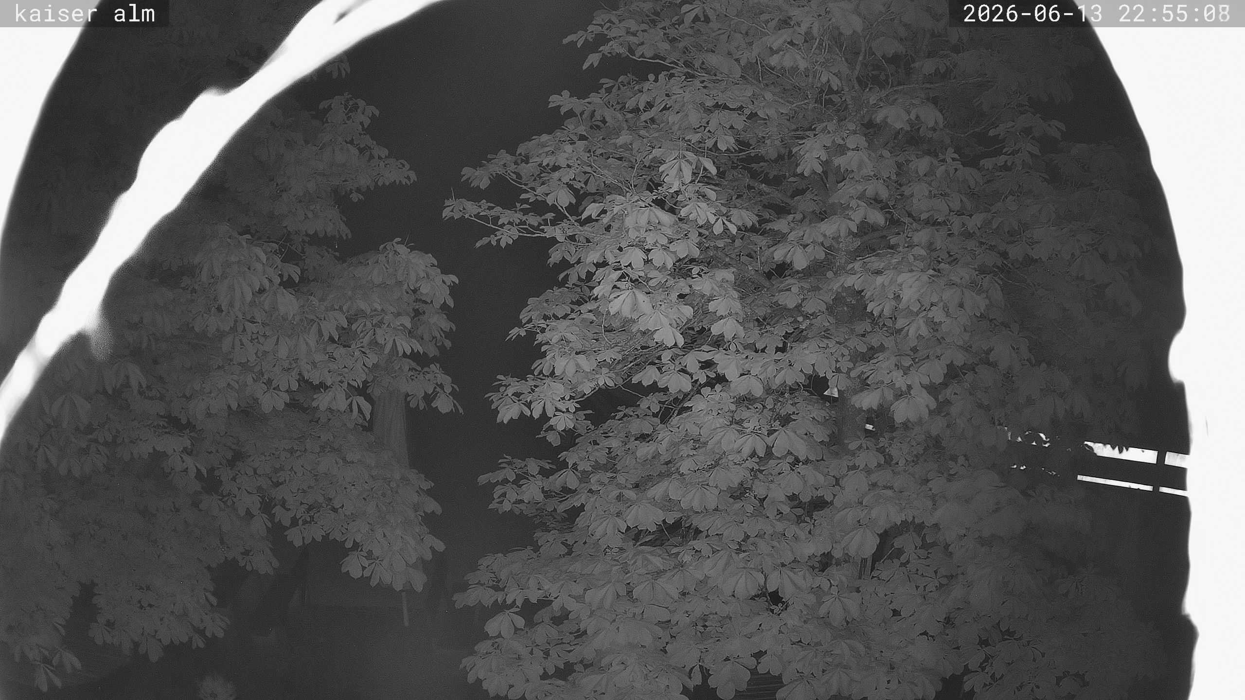 Archiv Foto Webcam Kaiseralm Breitenberg