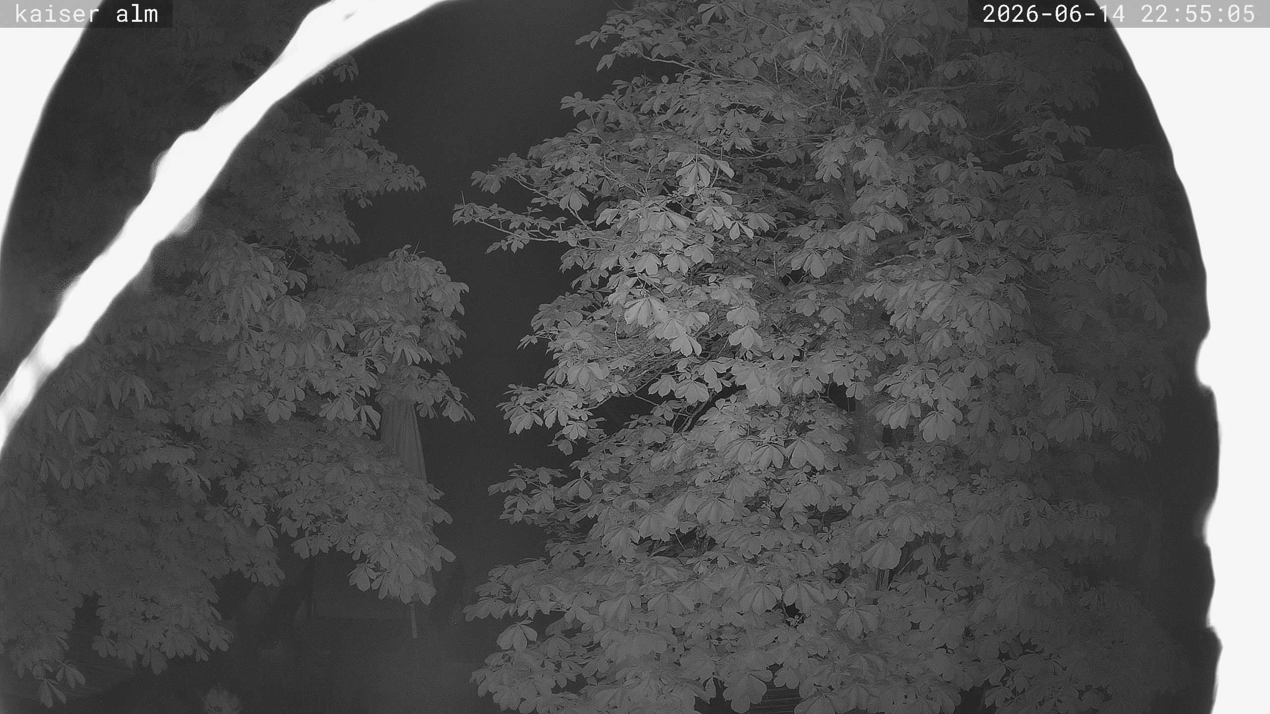 Archiv Foto Webcam Kaiseralm Breitenberg