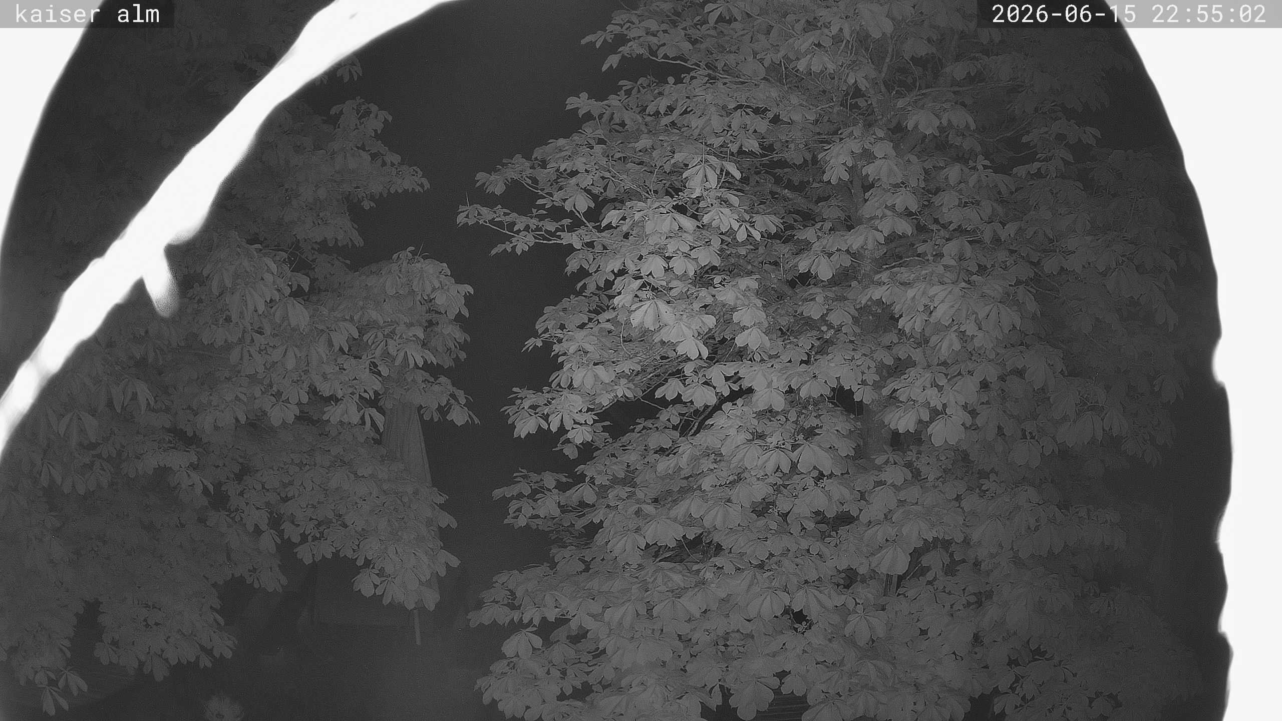 Archiv Foto Webcam Kaiseralm Breitenberg