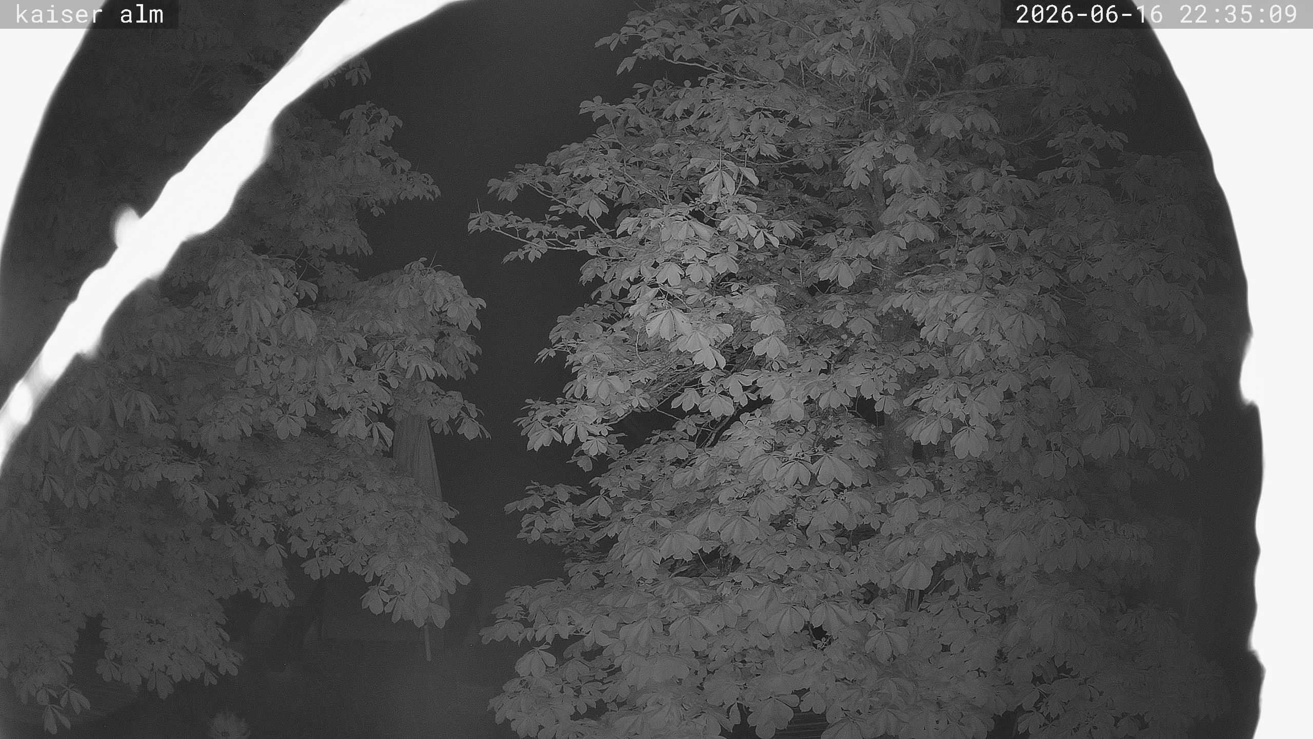 Archiv Foto Webcam Kaiseralm Breitenberg