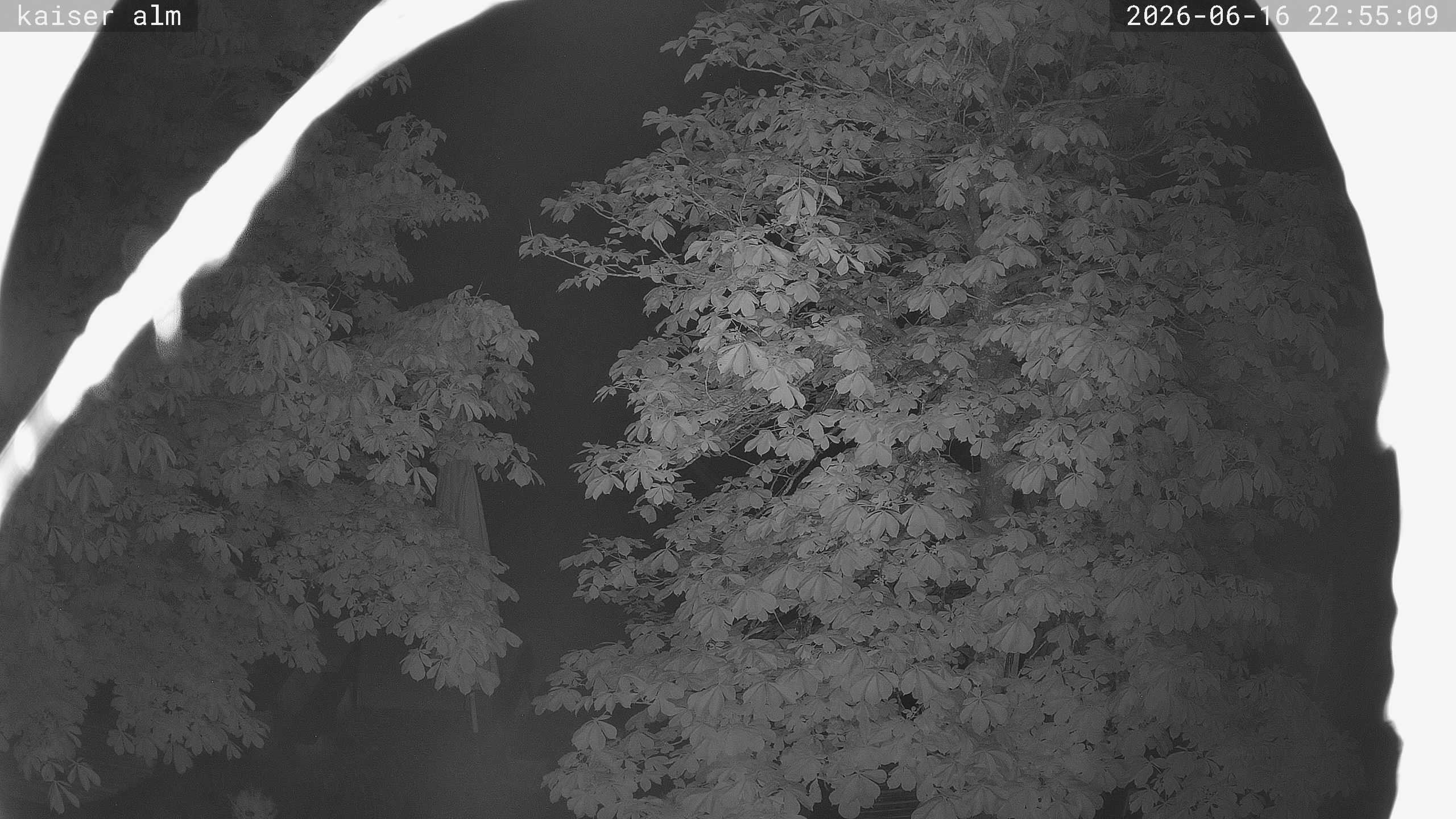 Archiv Foto Webcam Kaiseralm Breitenberg