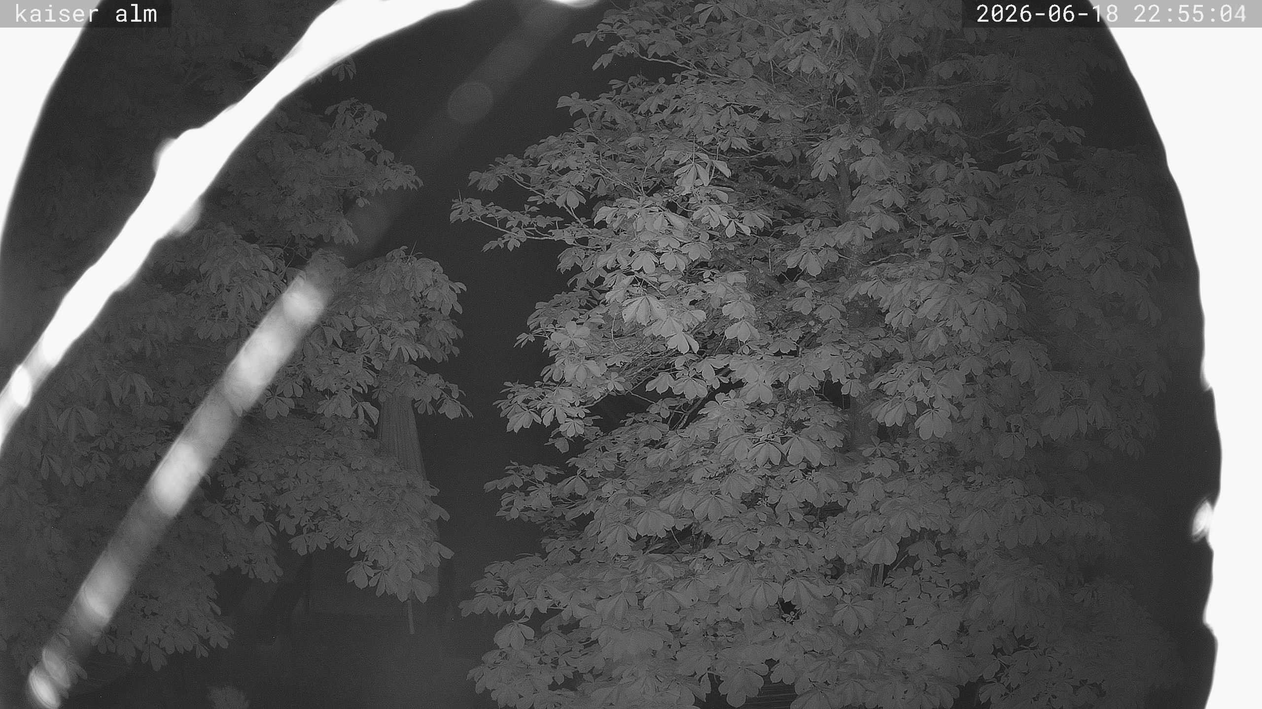 Archiv Foto Webcam Kaiseralm Breitenberg