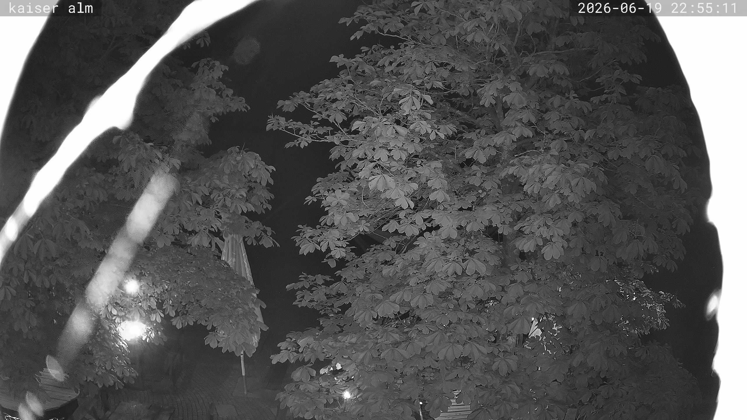 Archiv Foto Webcam Kaiseralm Breitenberg