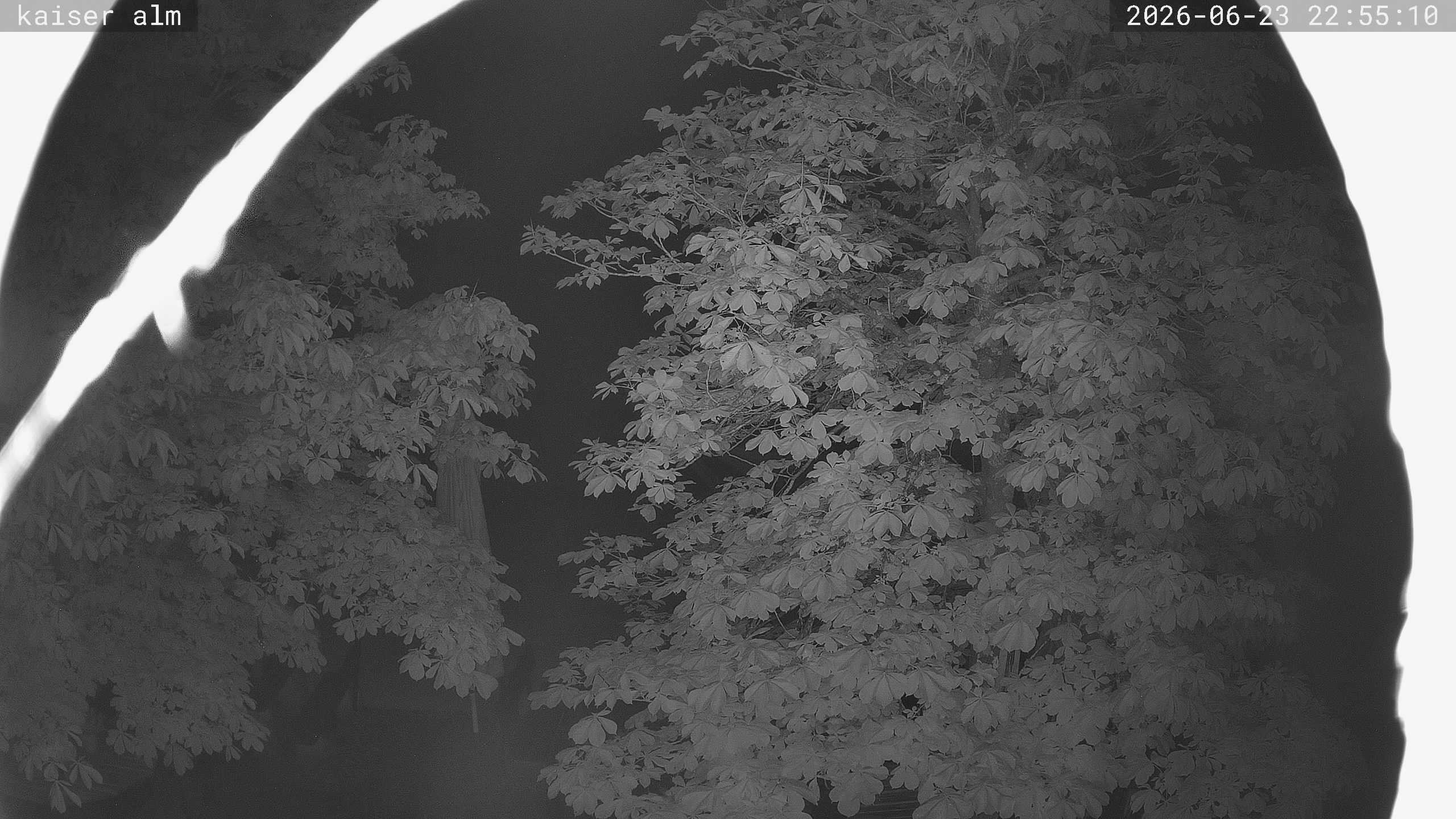Archiv Foto Webcam Kaiseralm Breitenberg