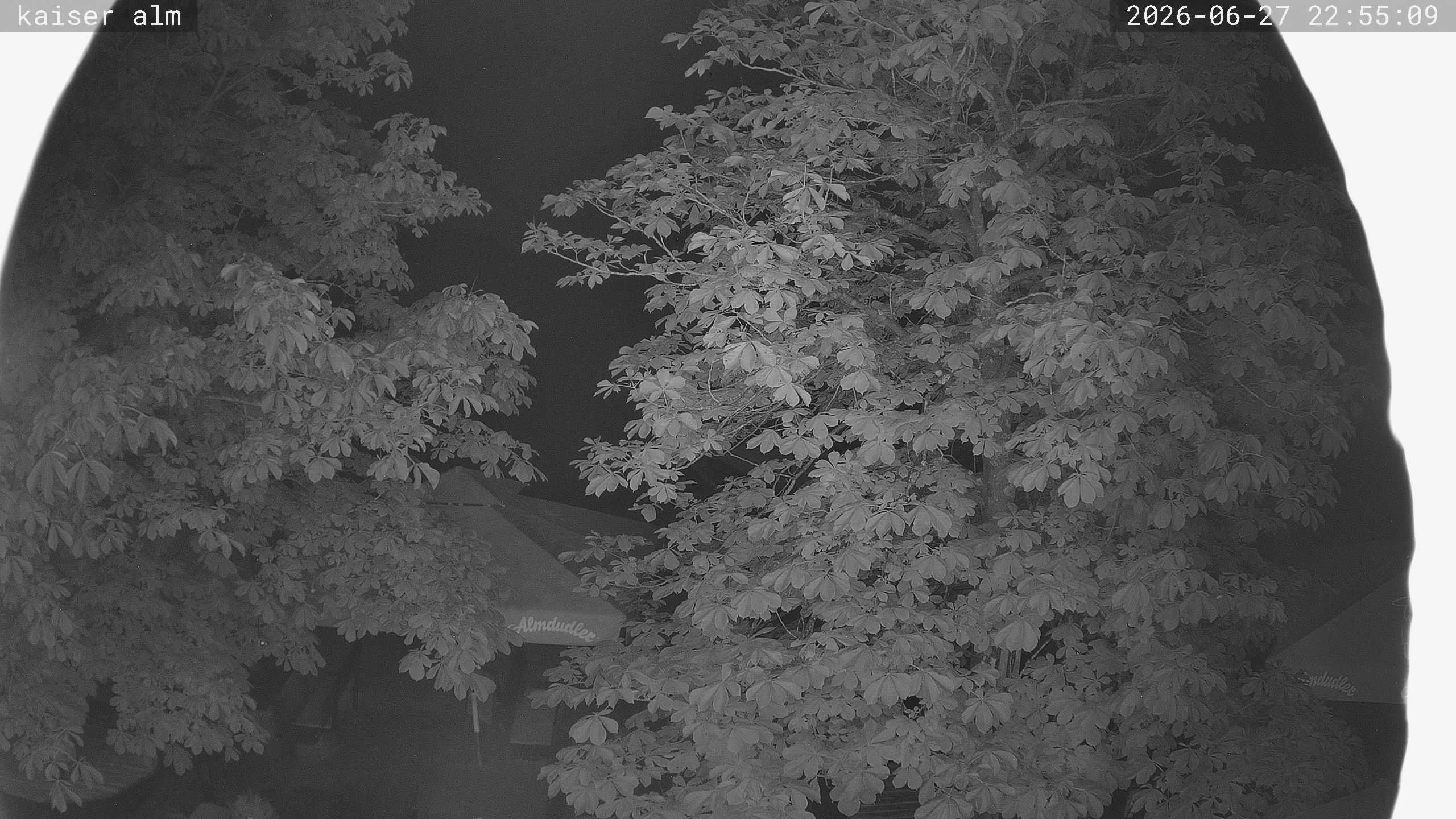 Archiv Foto Webcam Kaiseralm Breitenberg