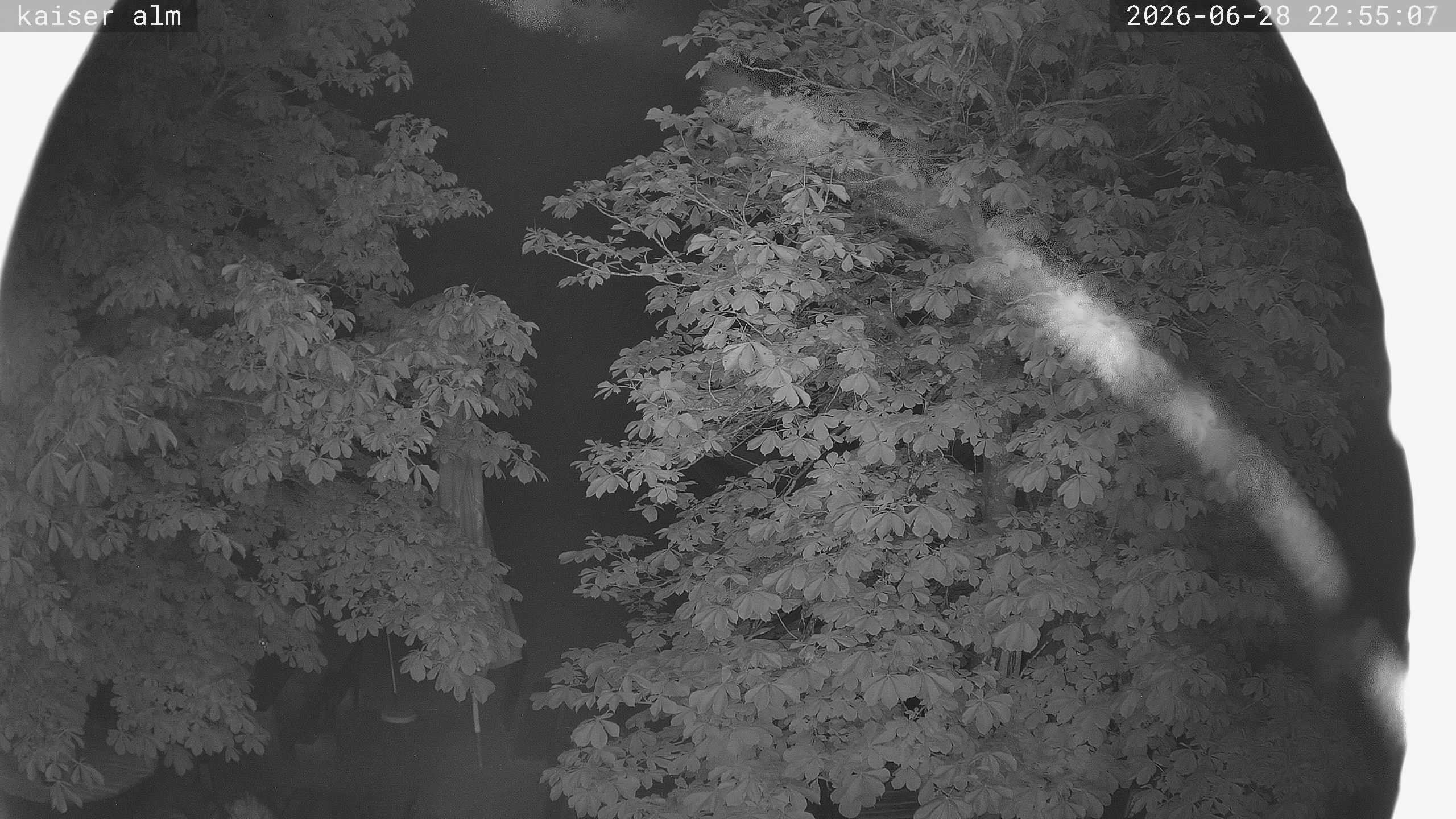 Archiv Foto Webcam Kaiseralm Breitenberg