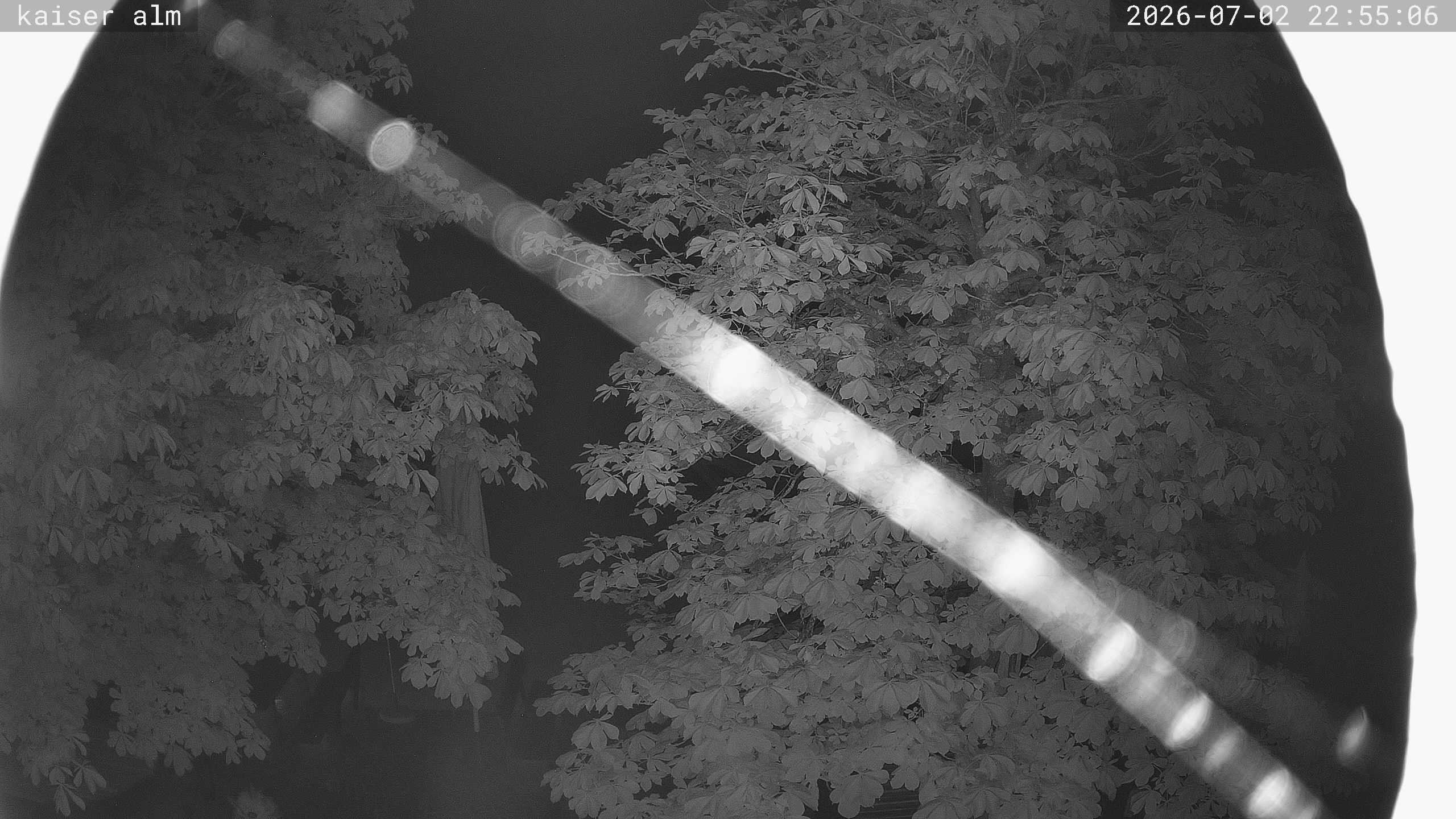 Archived image Breitenberg - Webcam at Kaiseralm
