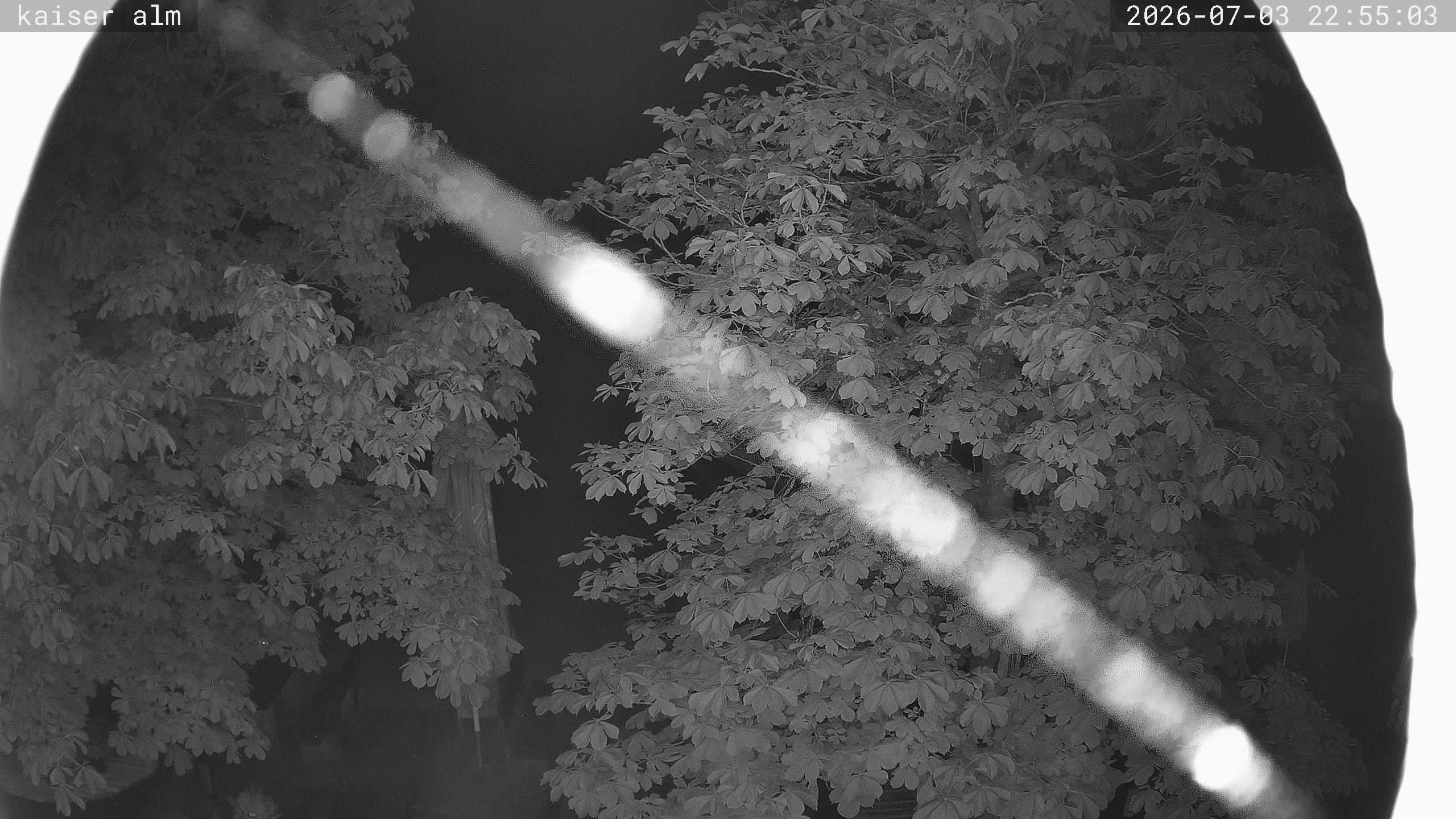 Archived image Breitenberg - Webcam at Kaiseralm