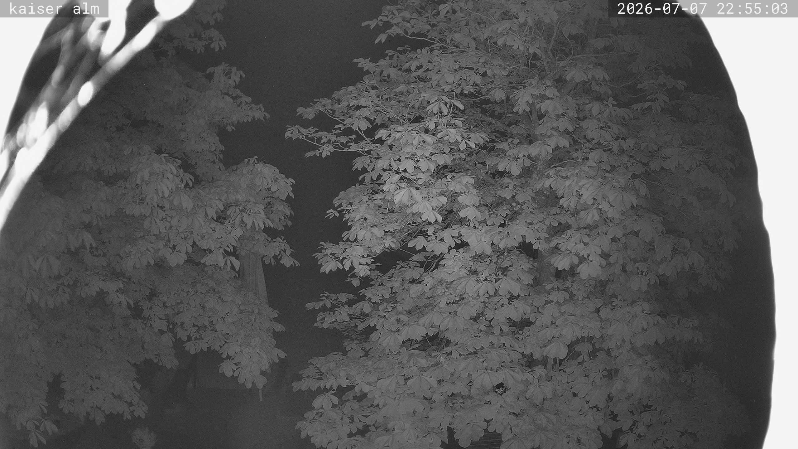 Archiv Foto Webcam Kaiseralm Breitenberg