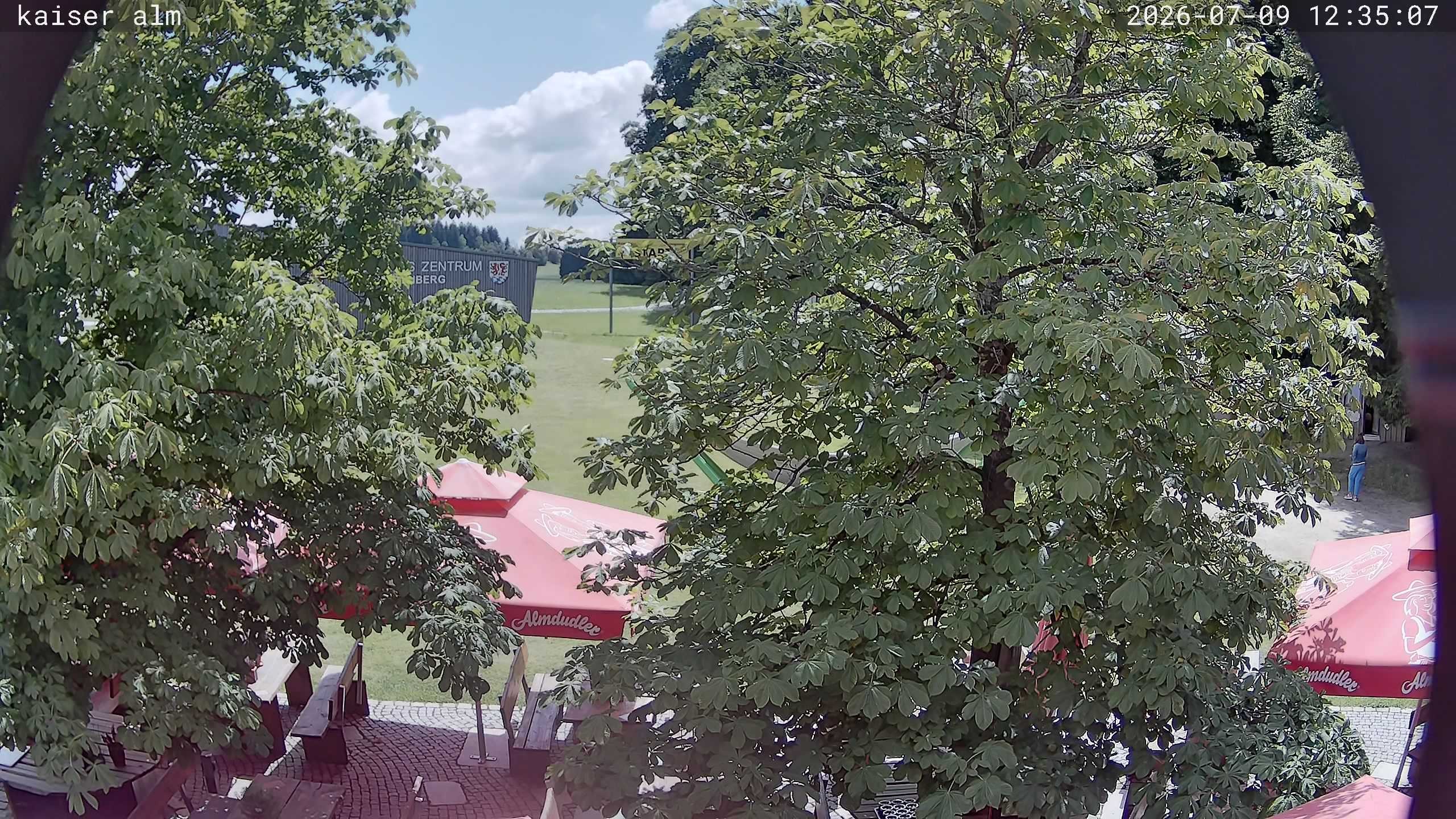 Archiv Foto Webcam Kaiseralm Breitenberg