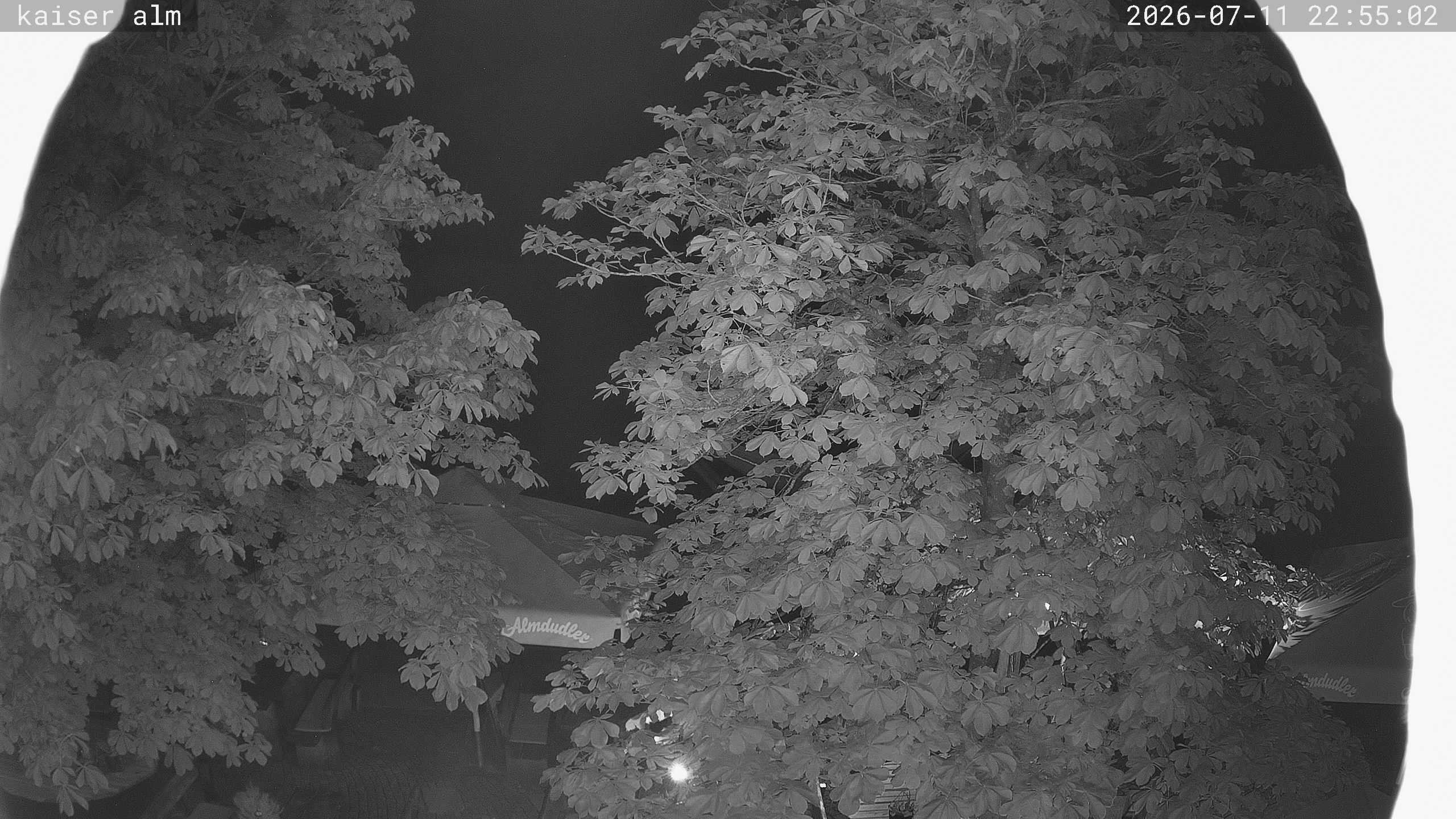 Archiv Foto Webcam Kaiseralm Breitenberg