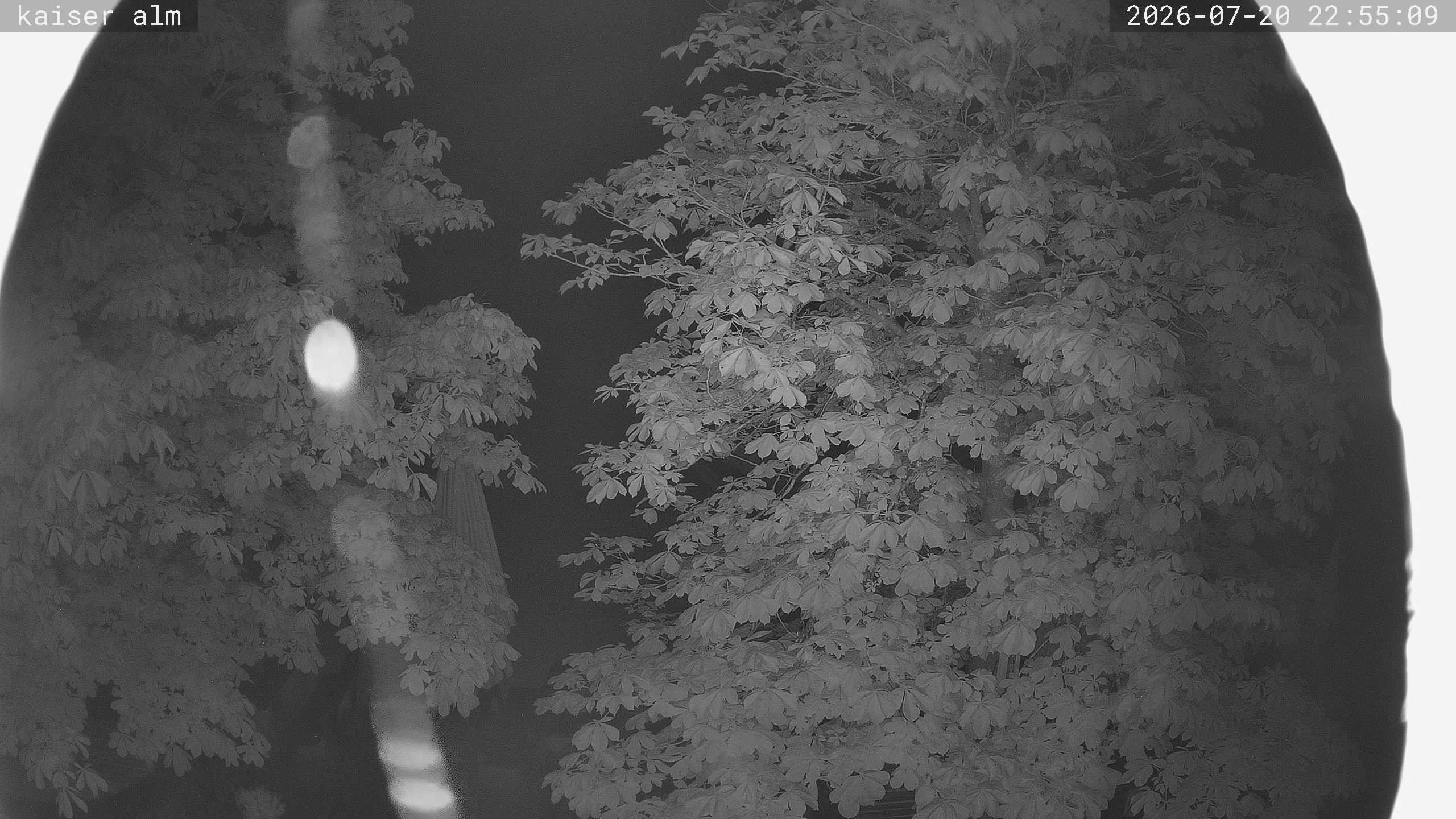 Archiv Foto Webcam Kaiseralm Breitenberg