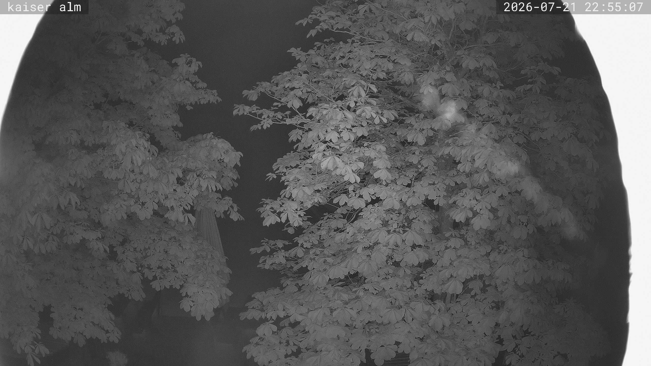 Archived image Breitenberg - Webcam at Kaiseralm