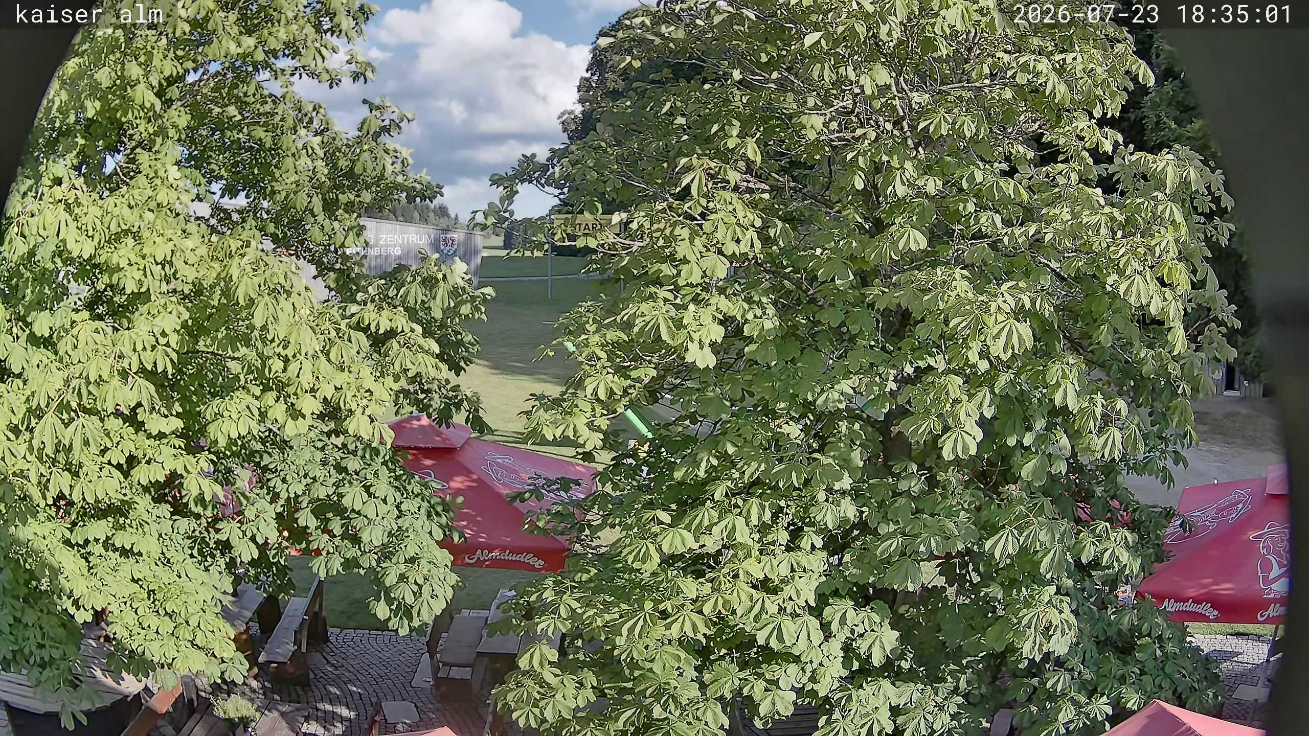 Archiv Foto Webcam Kaiseralm Breitenberg