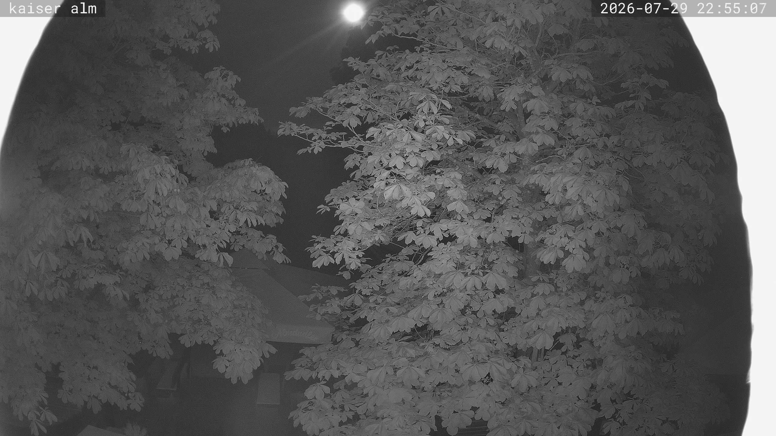 Archiv Foto Webcam Kaiseralm Breitenberg