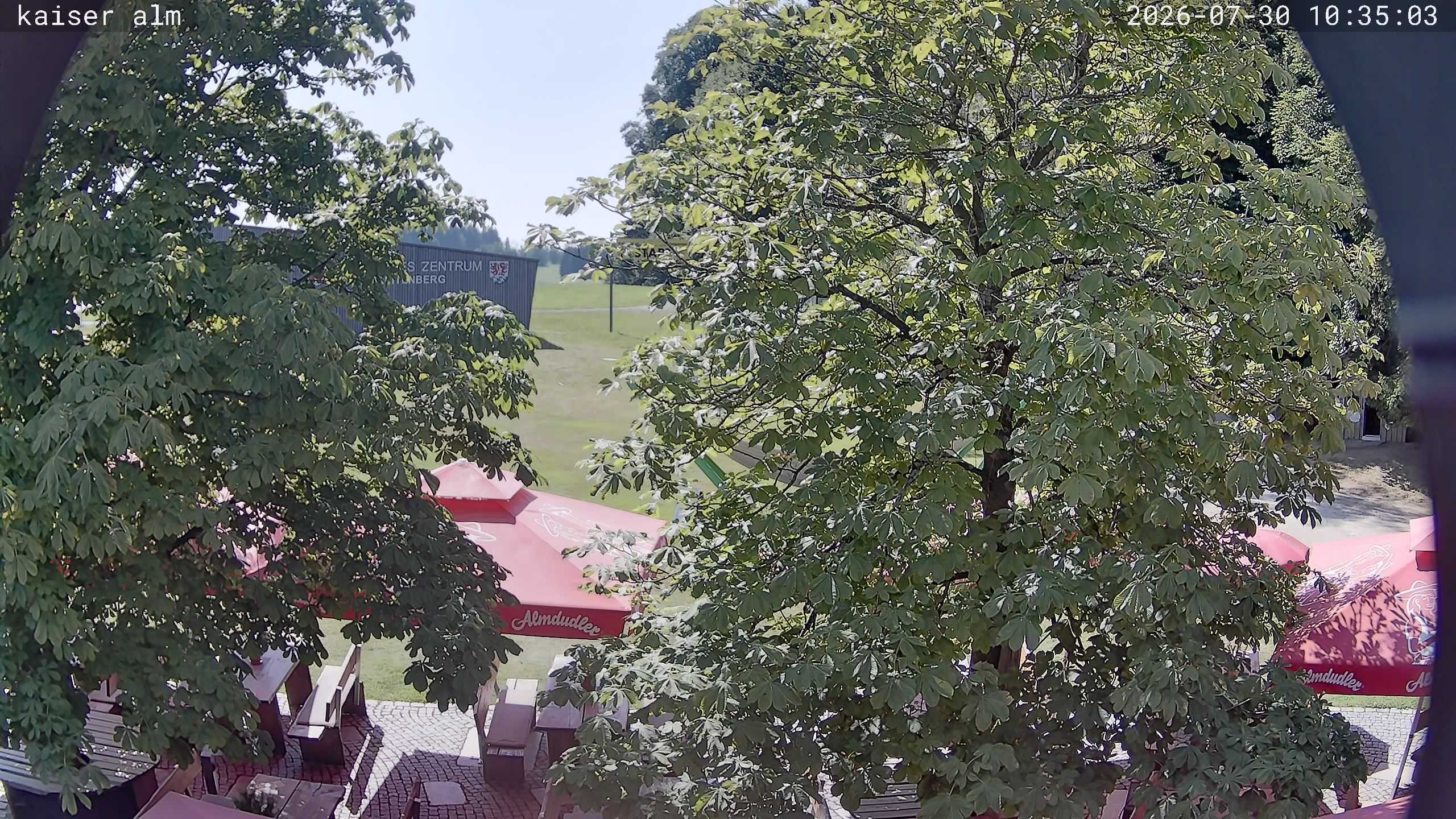 Archiv Foto Webcam Kaiseralm Breitenberg
