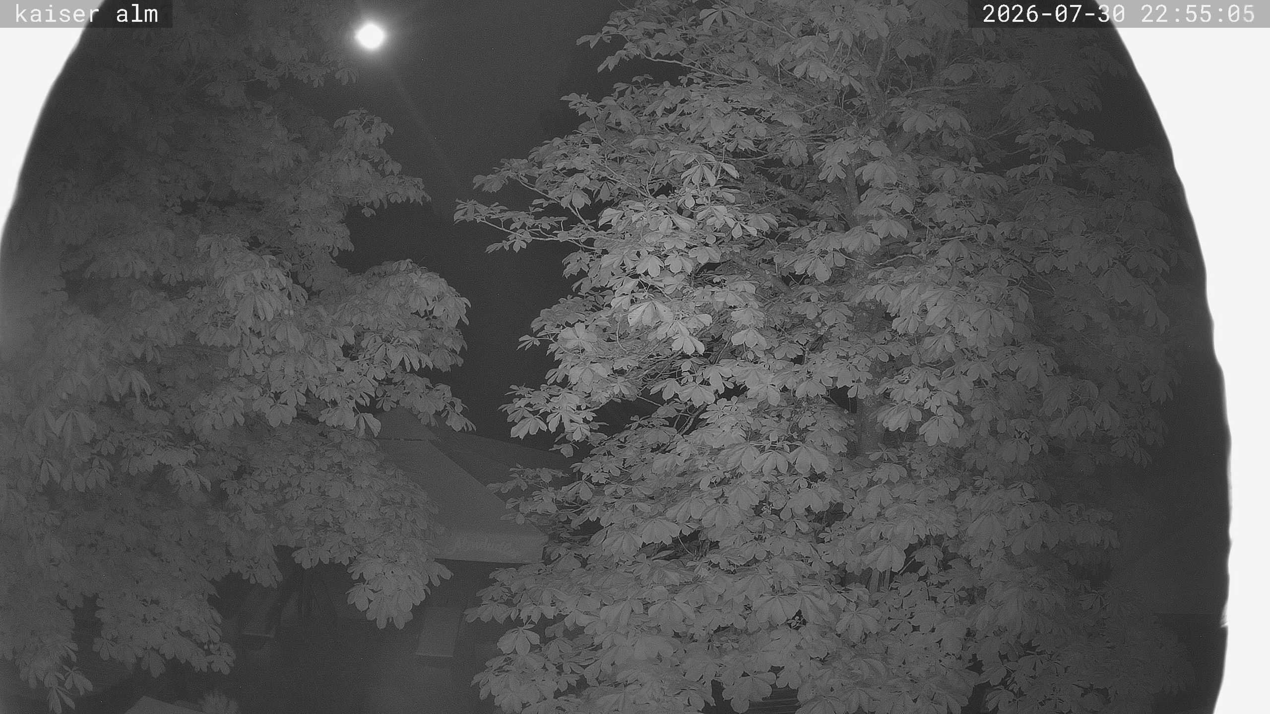 Archiv Foto Webcam Kaiseralm Breitenberg