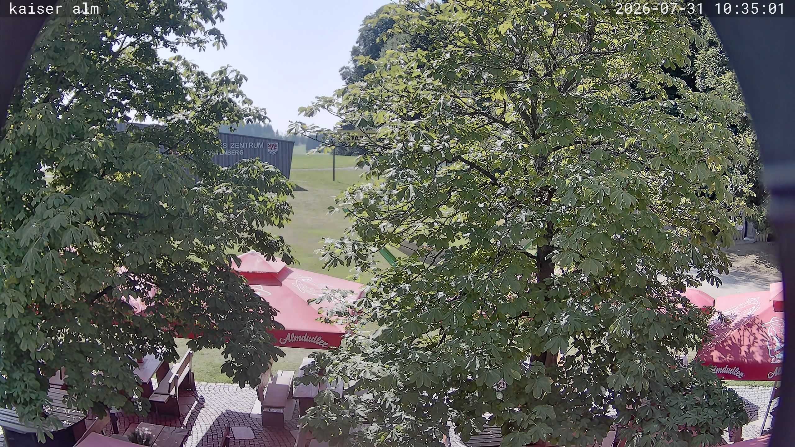Archiv Foto Webcam Kaiseralm Breitenberg