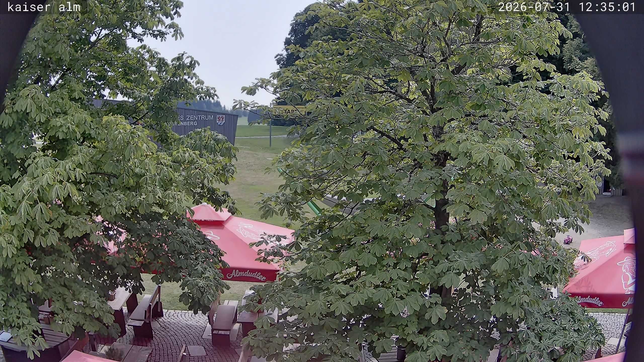 Archiv Foto Webcam Kaiseralm Breitenberg
