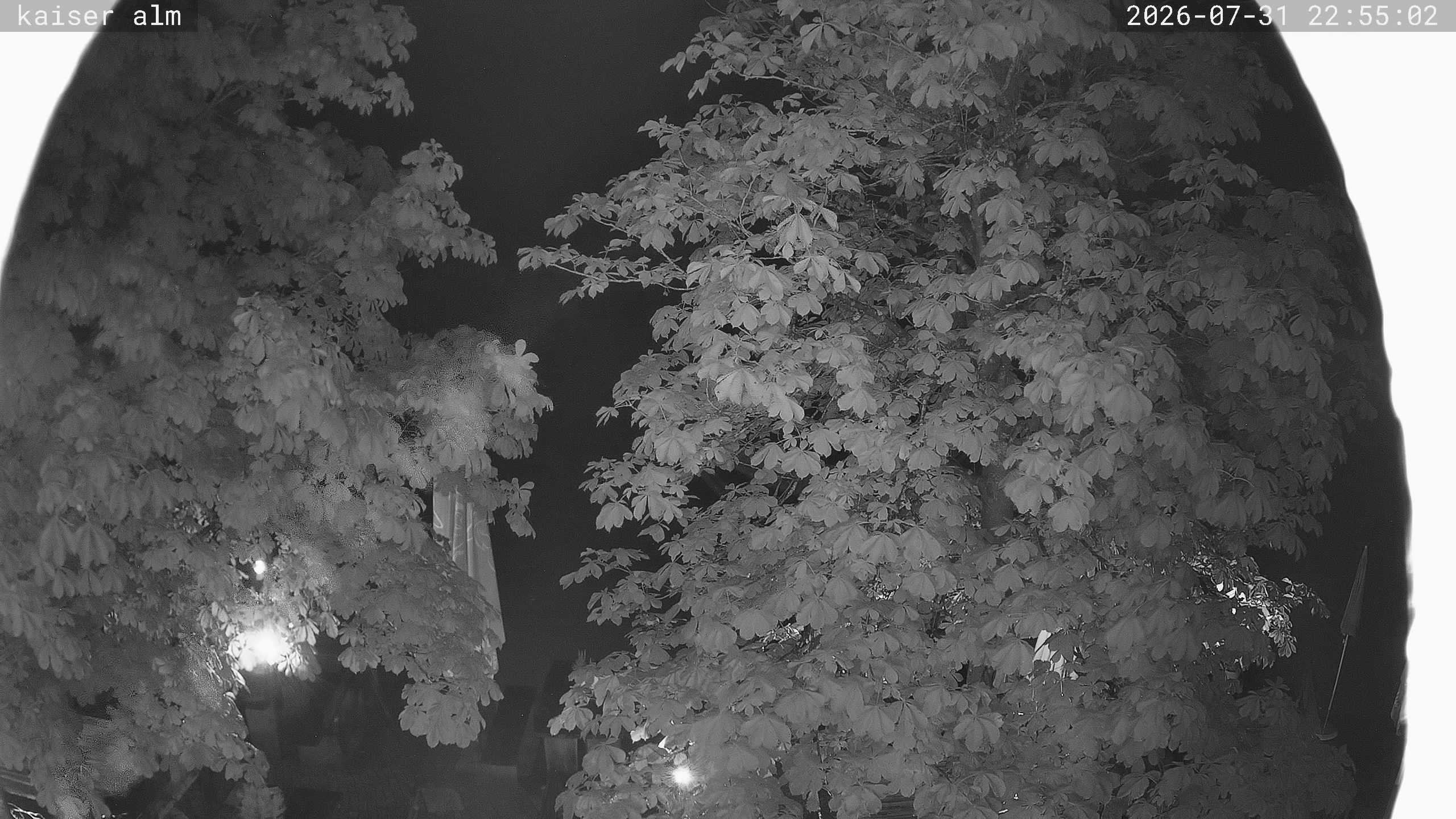 Archived image Breitenberg - Webcam at Kaiseralm