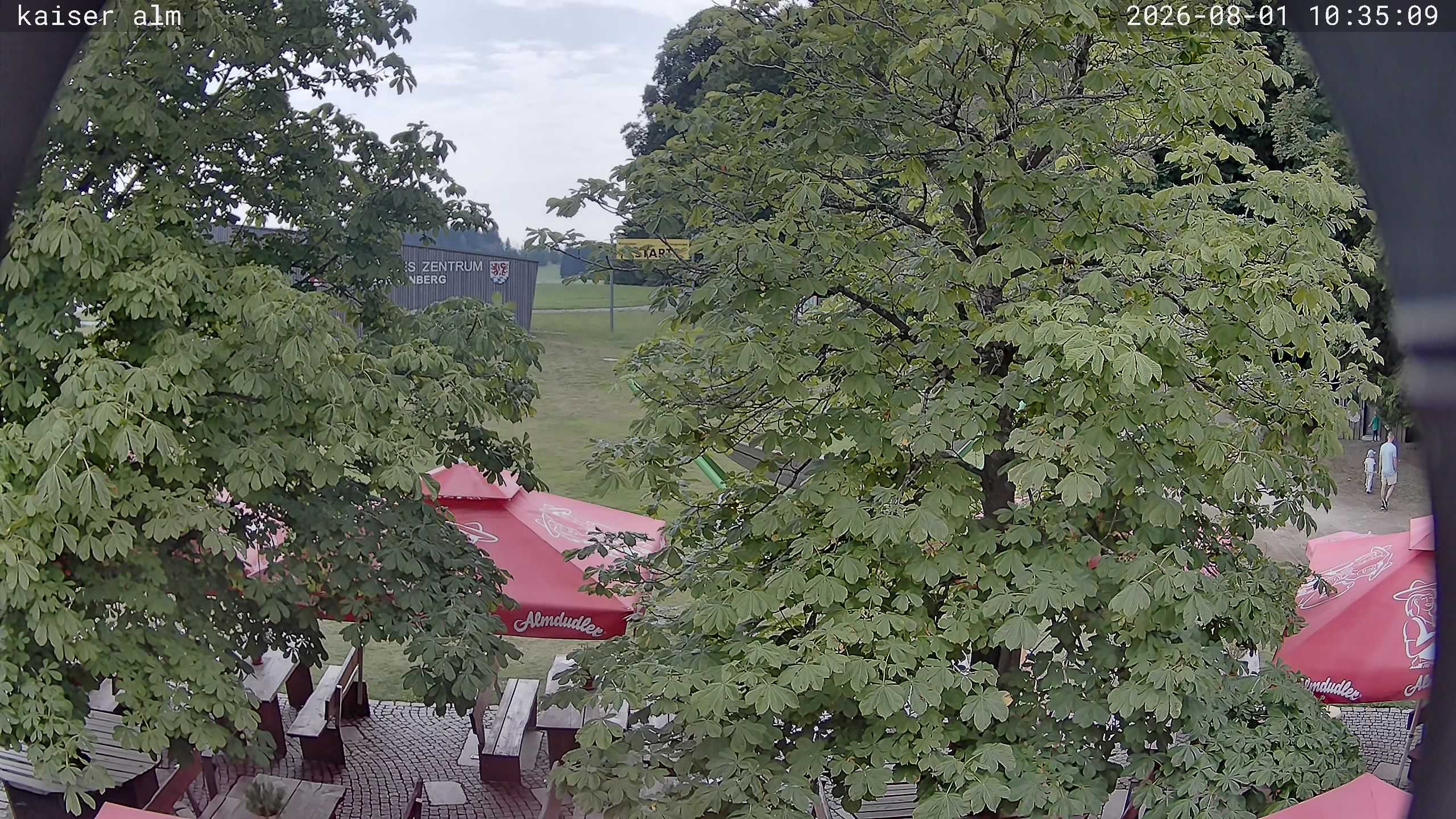 Archived image Breitenberg - Webcam at Kaiseralm