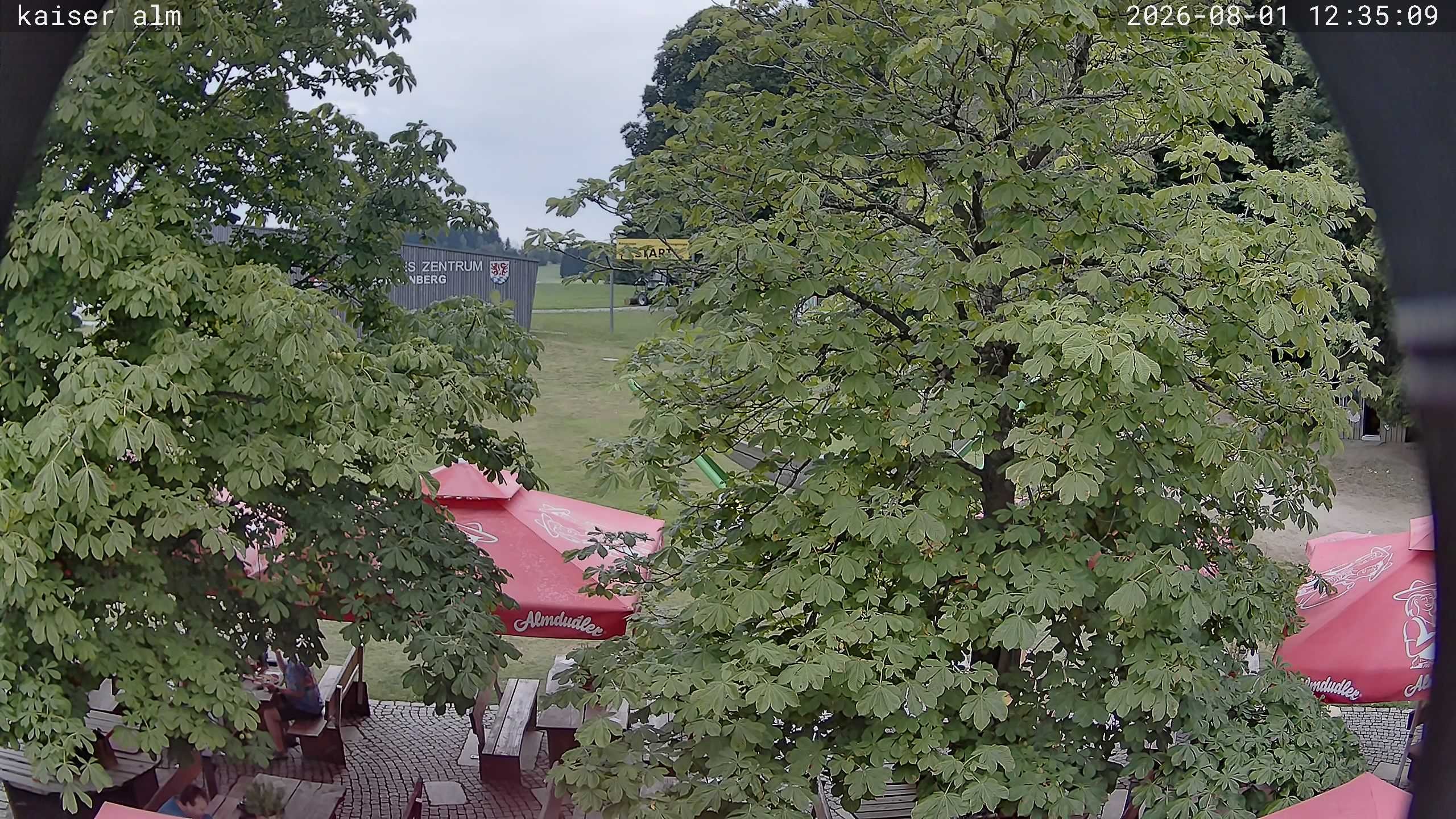 Archived image Breitenberg - Webcam at Kaiseralm