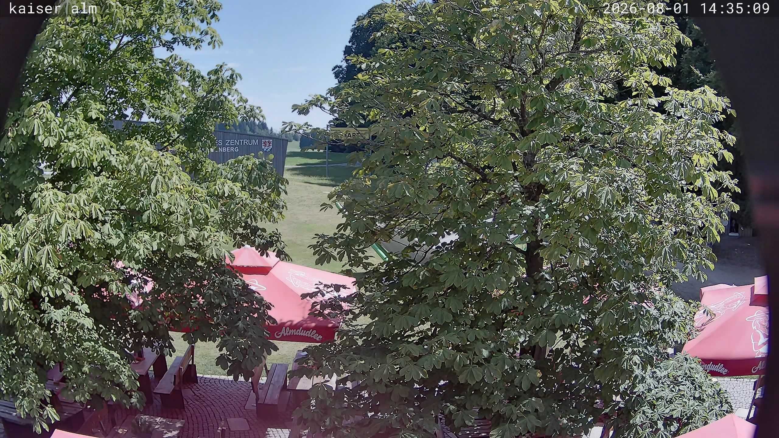 Archived image Breitenberg - Webcam at Kaiseralm