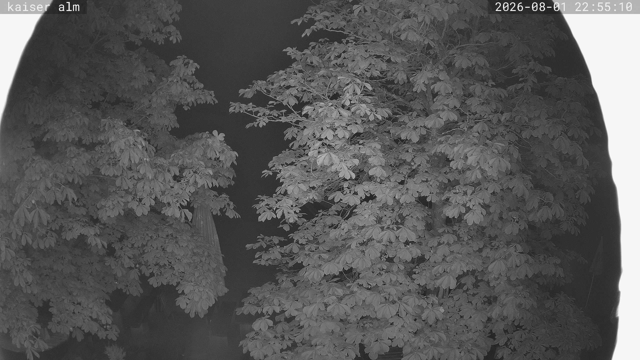 Archived image Breitenberg - Webcam at Kaiseralm