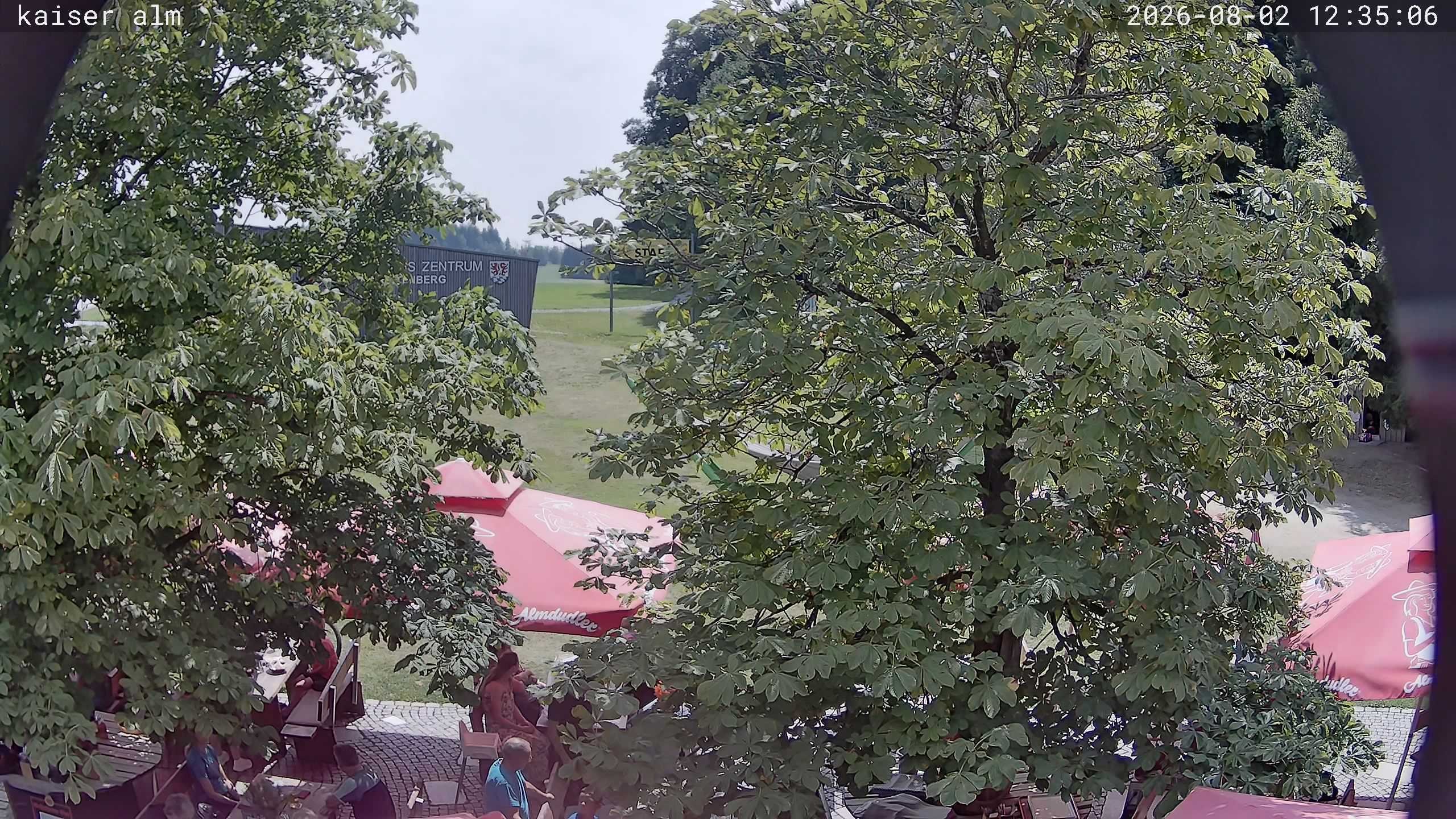 Archiv Foto Webcam Kaiseralm Breitenberg