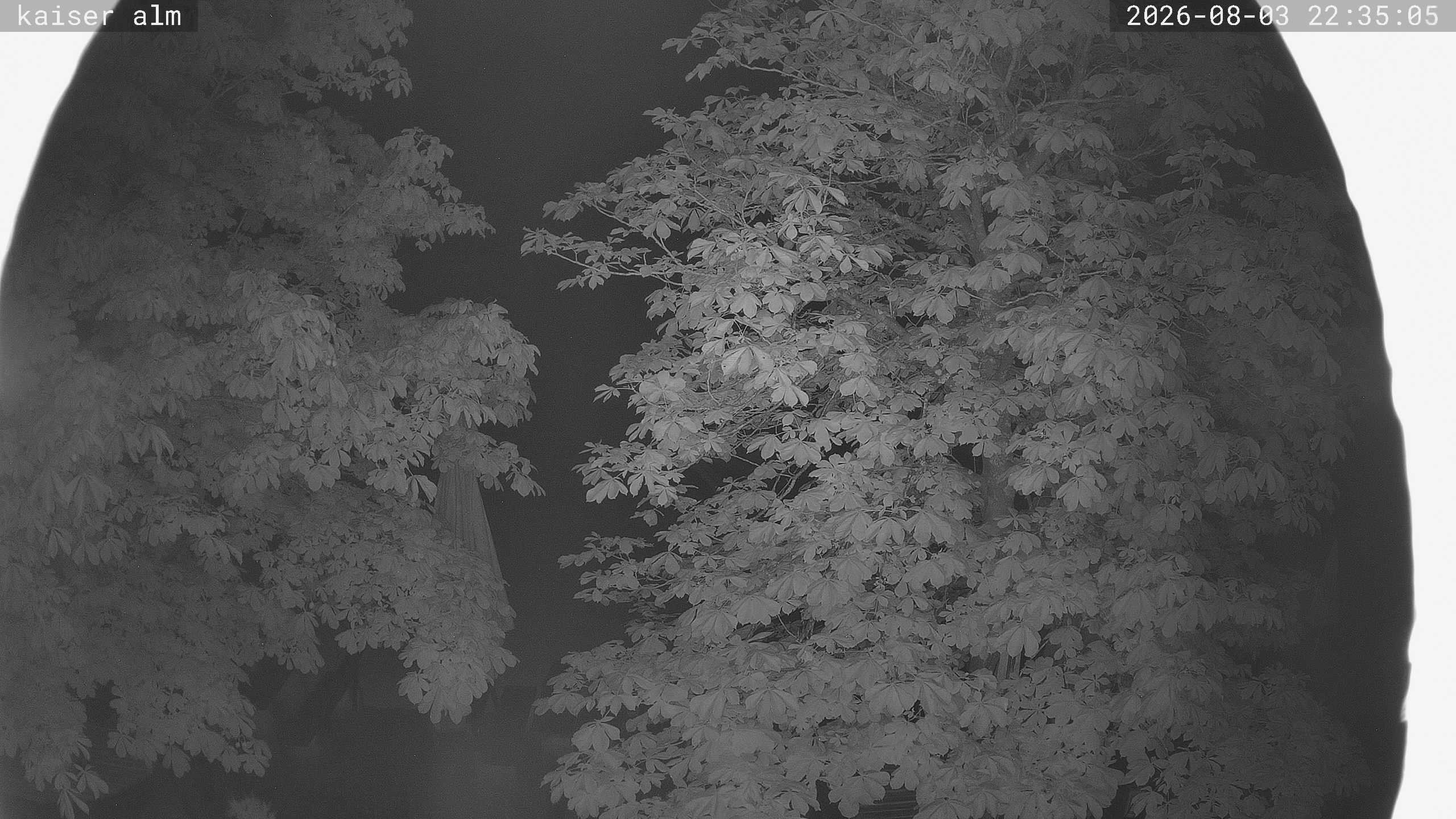 Archiv Foto Webcam Kaiseralm Breitenberg