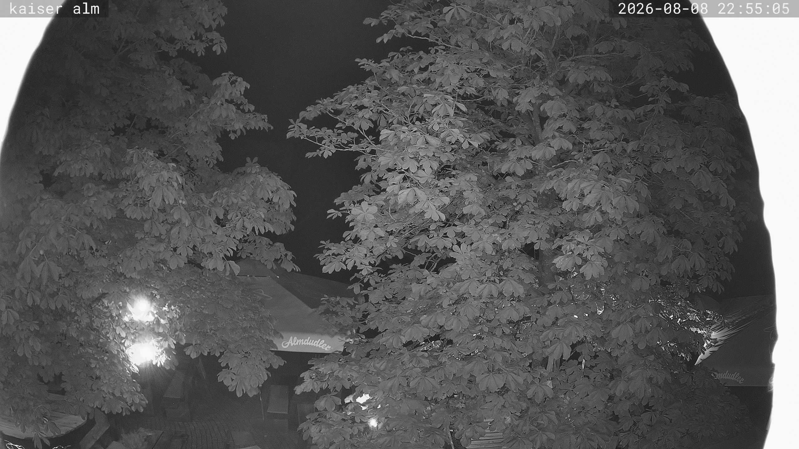 Archiv Foto Webcam Kaiseralm Breitenberg