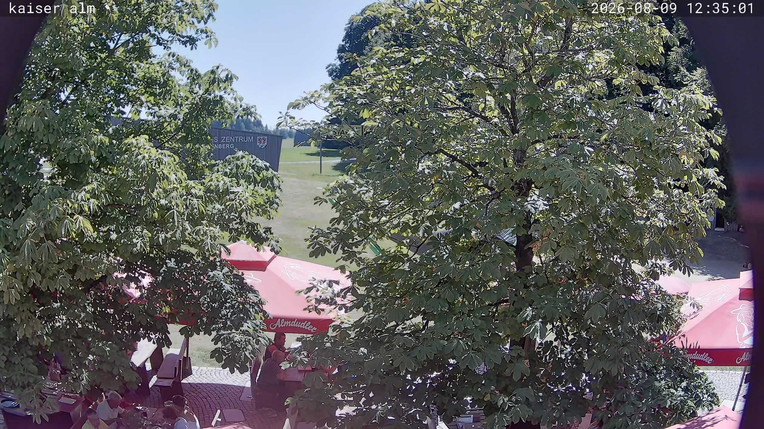Archiv Foto Webcam Kaiseralm Breitenberg
