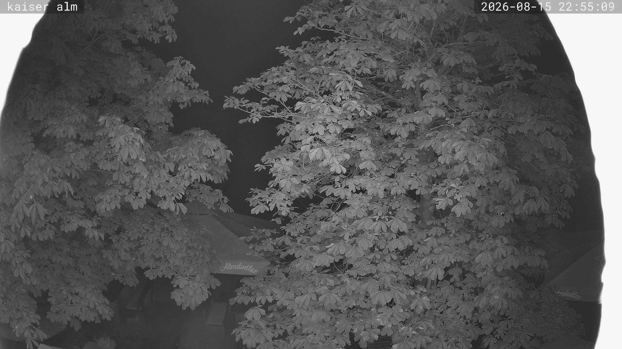 Archiv Foto Webcam Kaiseralm Breitenberg
