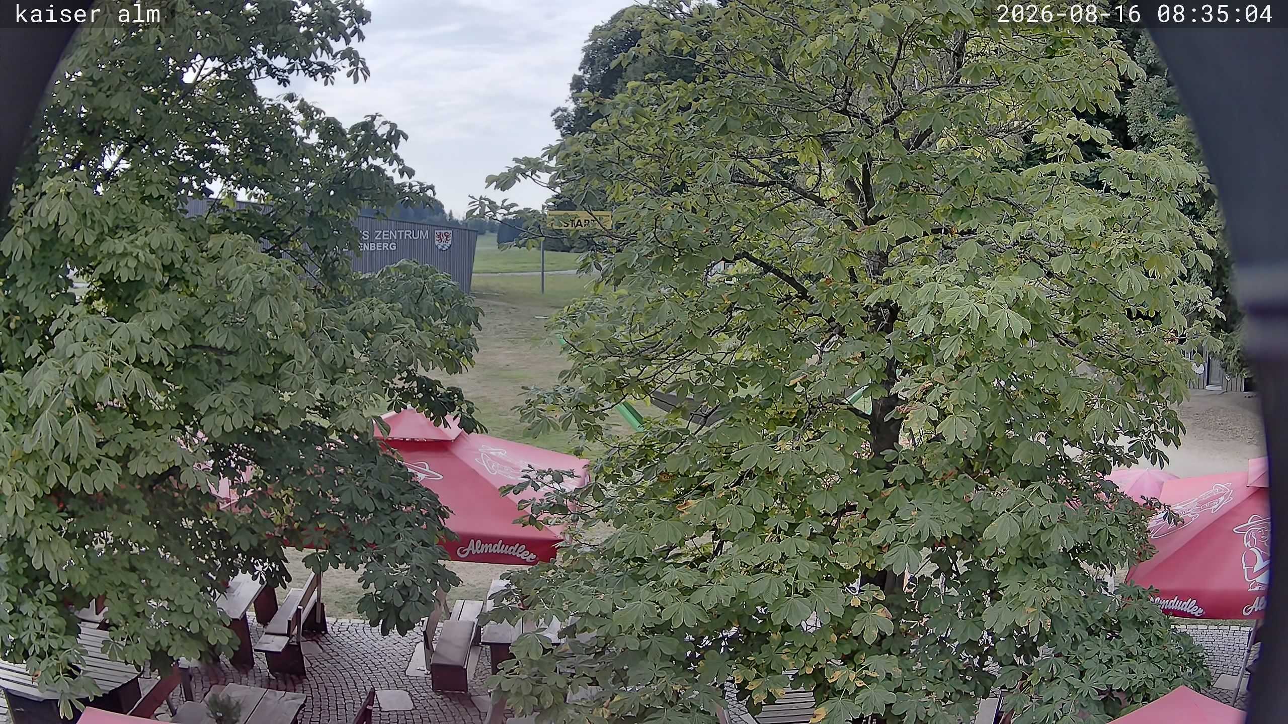 Archiv Foto Webcam Kaiseralm Breitenberg